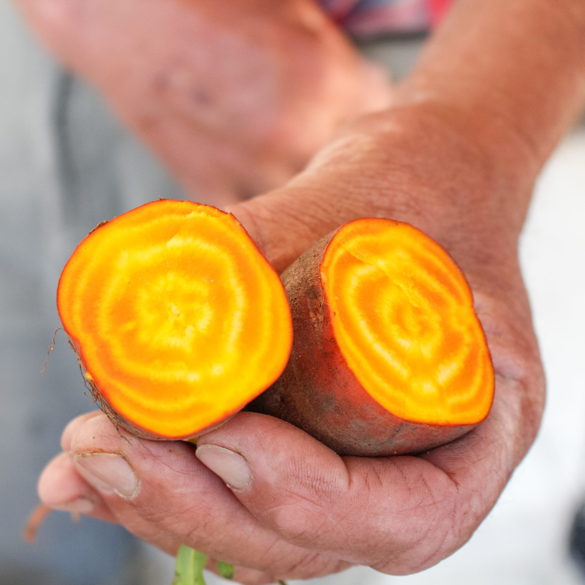 A hand holds two halves of a beetroot with vibrant orange-yellow concentric circles visible in the cross-section.