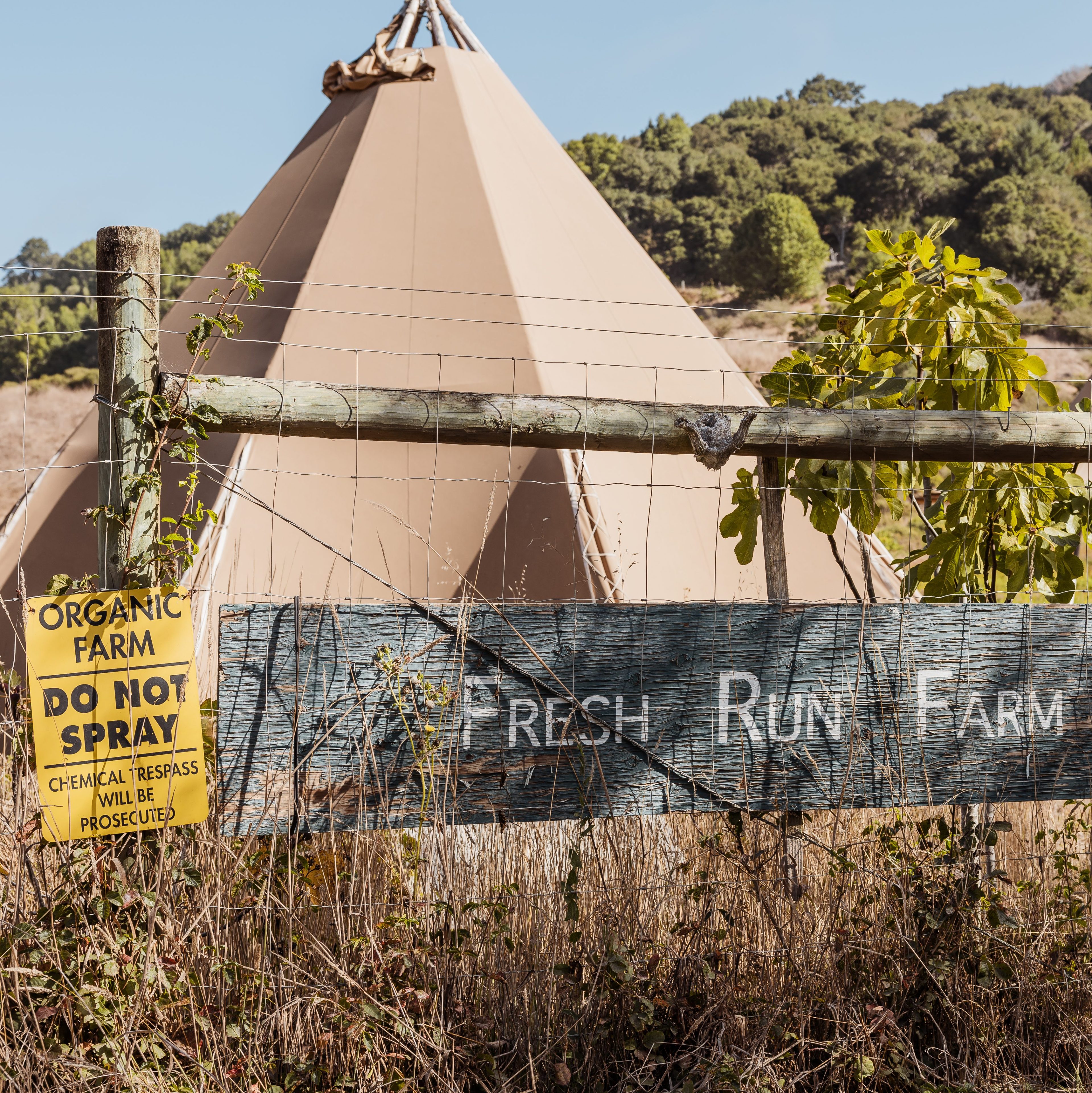 The image shows a sign reading &quot;Fresh Run Farm&quot; next to another that says &quot;Organic Farm: Do Not Spray.&quot; Behind a fence is a large tipi and some greenery.