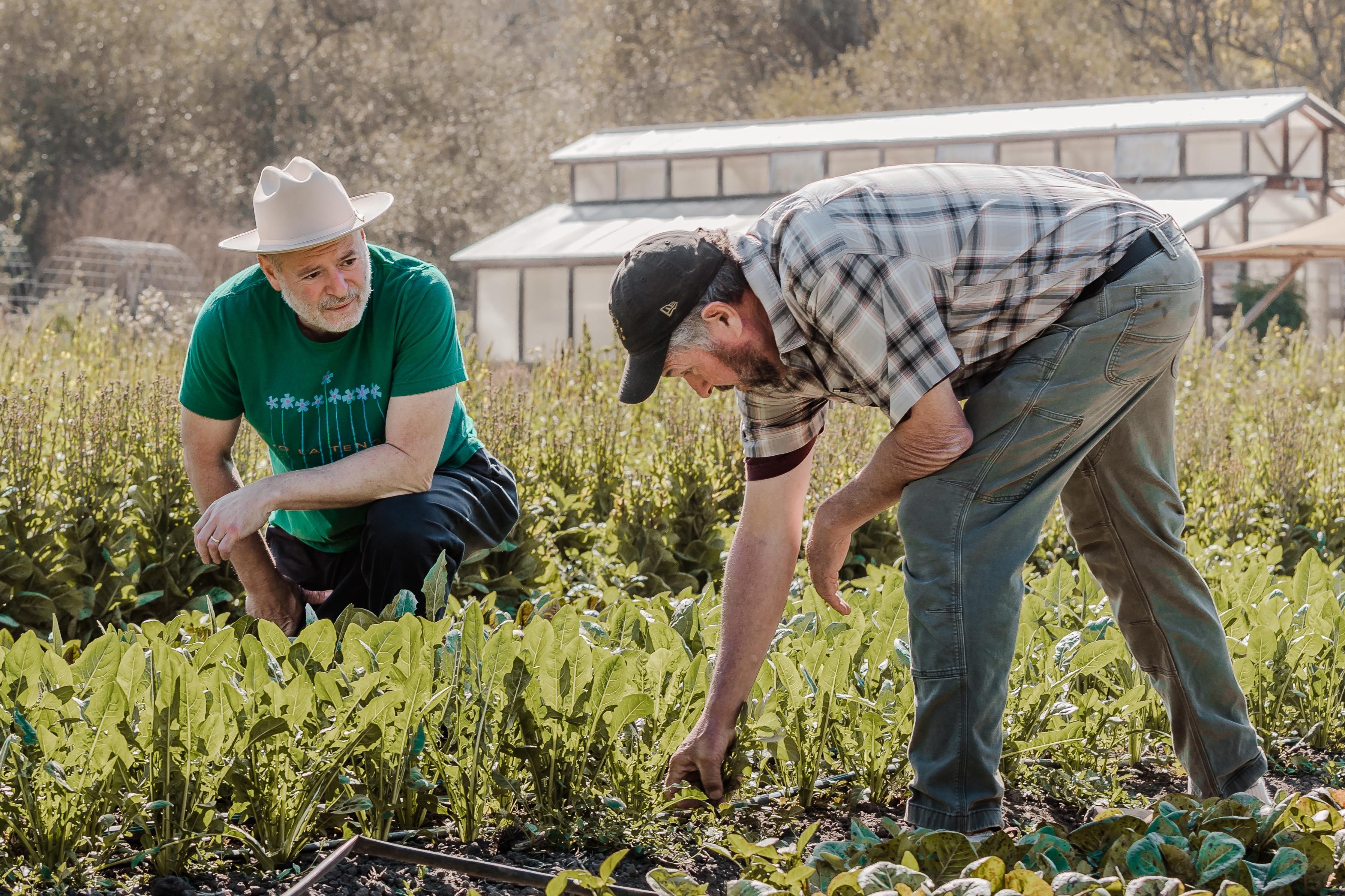 Two men are working in a lush garden. One is kneeling and wearing a green shirt and hat, while the other, dressed in a plaid shirt and cap, bends down to tend to plants.