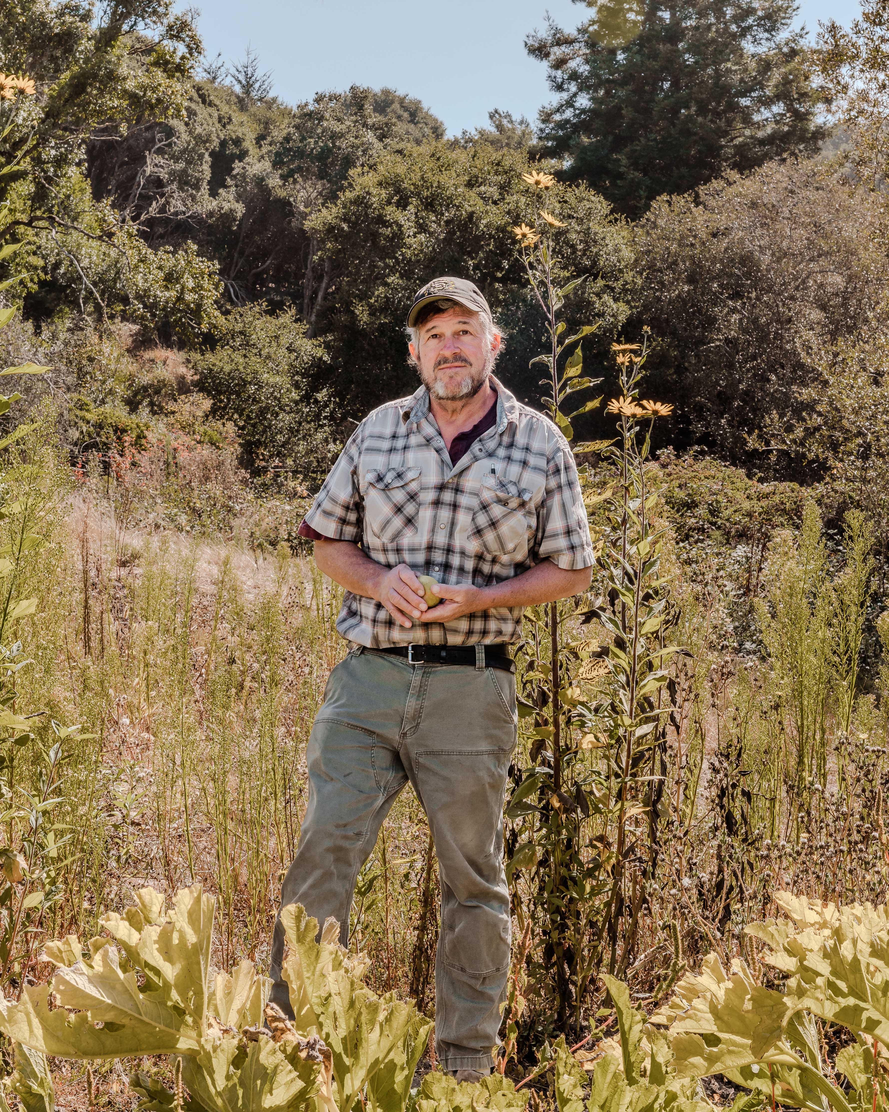 A man in a plaid shirt and cap stands in a field surrounded by tall plants and greenery, against a backdrop of dense trees under a clear sky. He is holding something in his hands. 