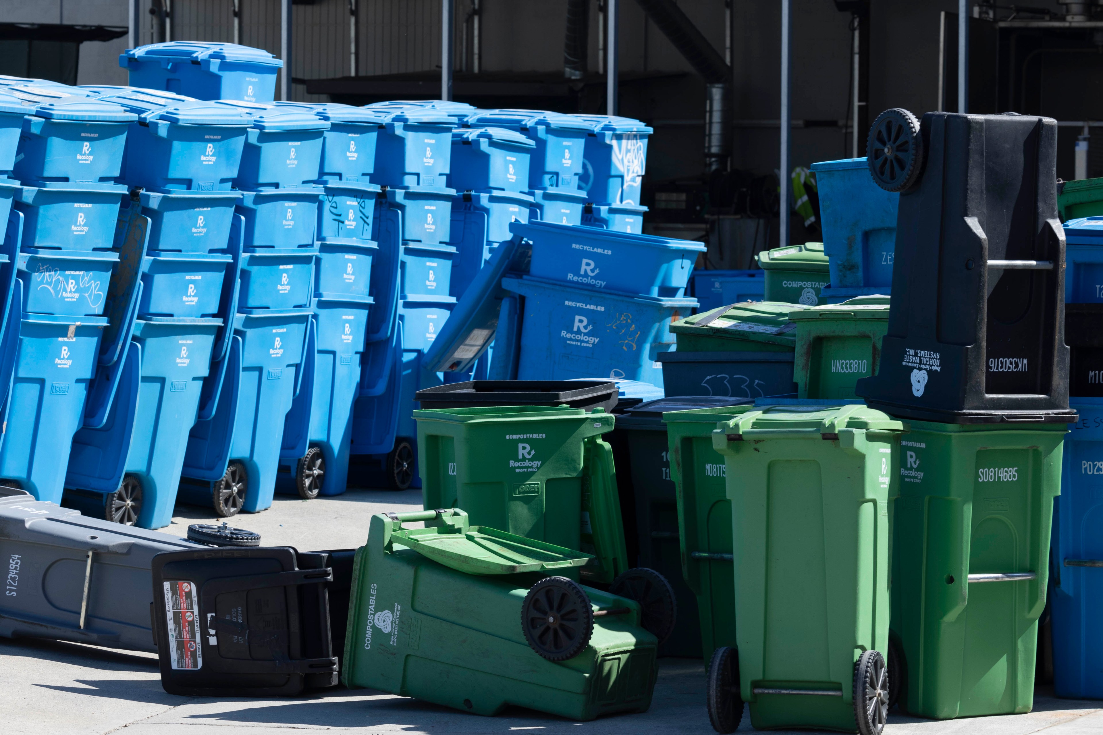 The image shows numerous blue and green recycling bins stacked and scattered outdoors, with some bins overturned near a metal-roofed structure.