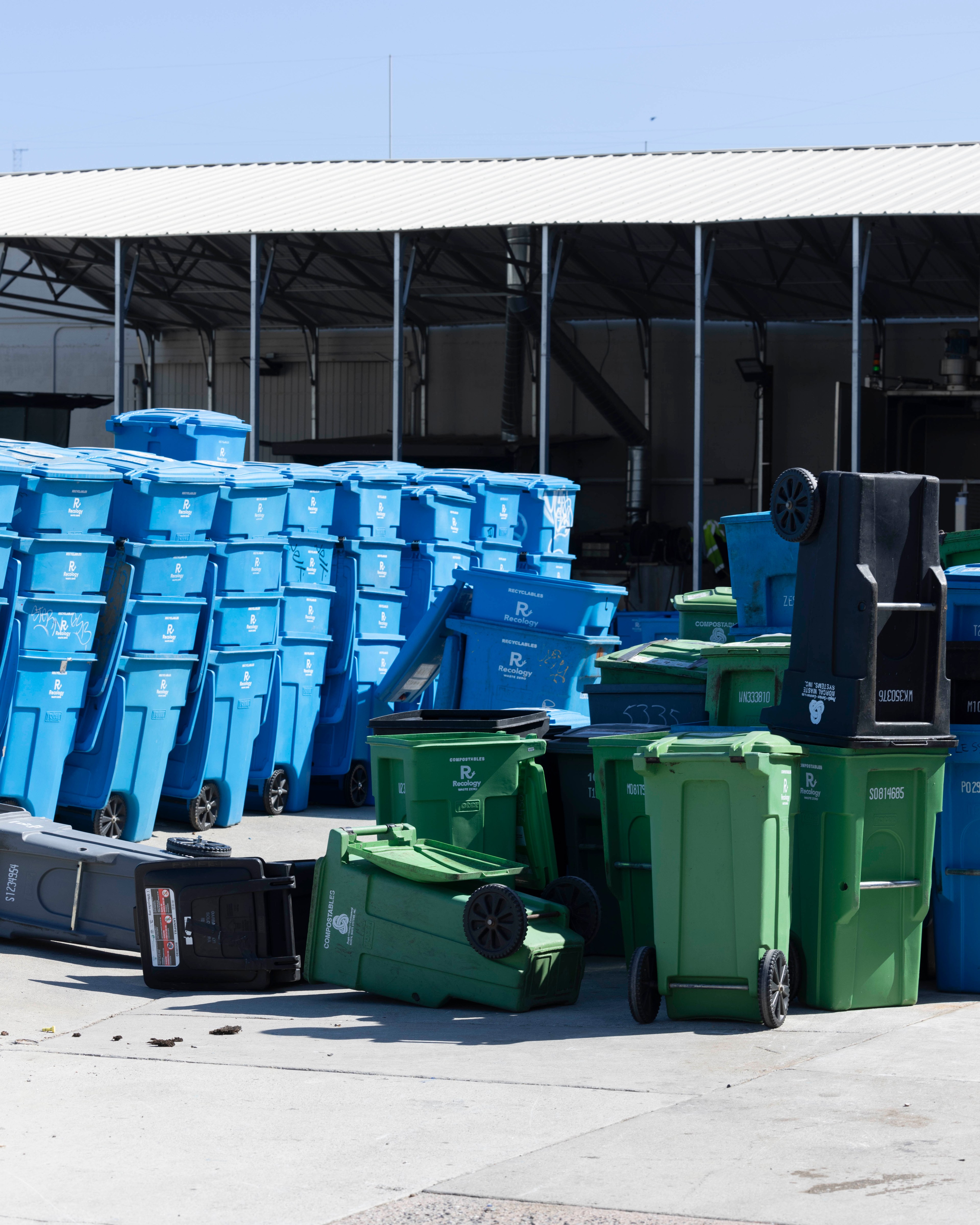 The image shows numerous blue and green recycling bins stacked and scattered outdoors, with some bins overturned near a metal-roofed structure.