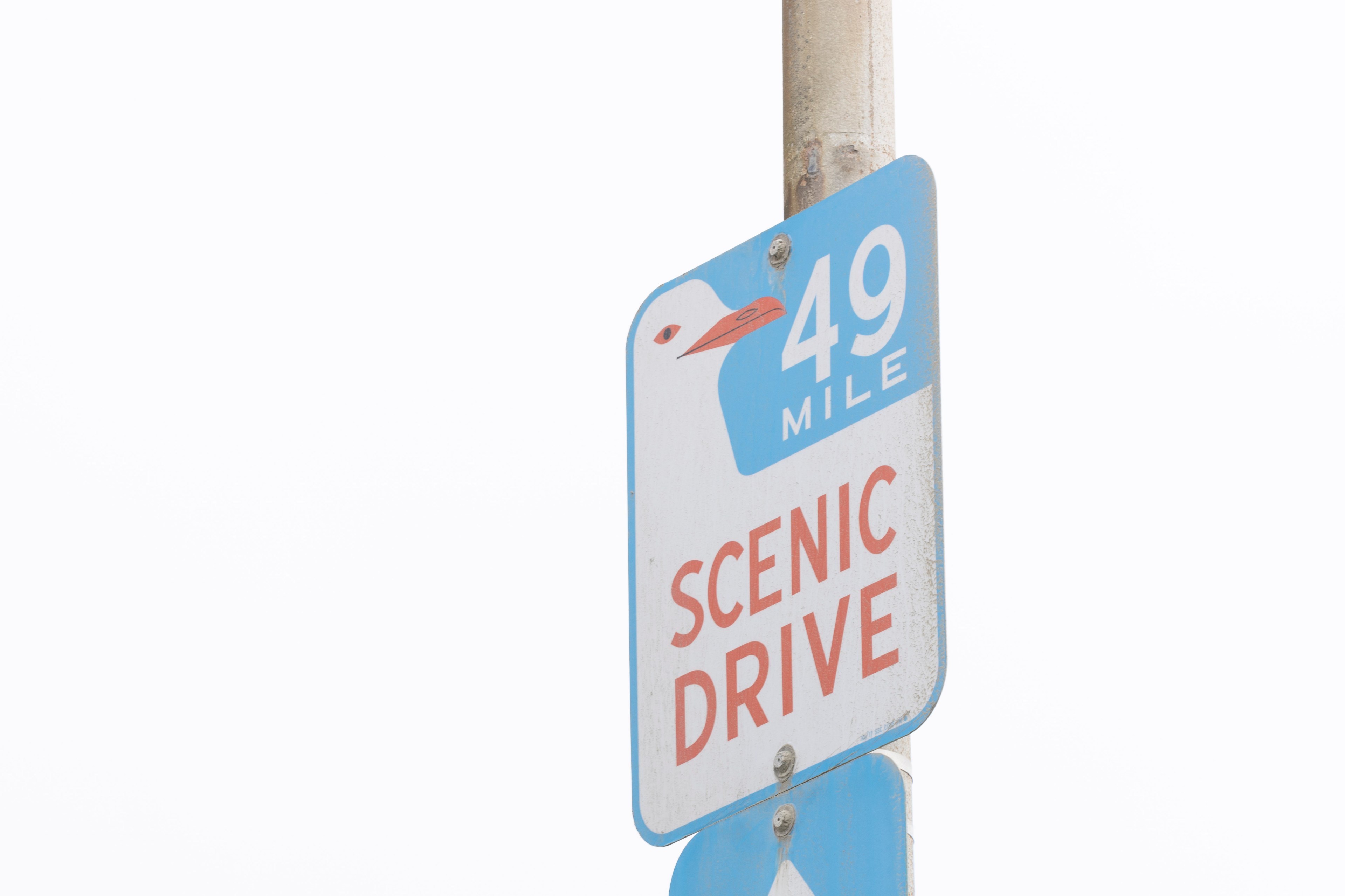 A street sign indicates "49 Mile Scenic Drive" with a blue arrow, while a white sign below labels the location as "Great Highway 900."