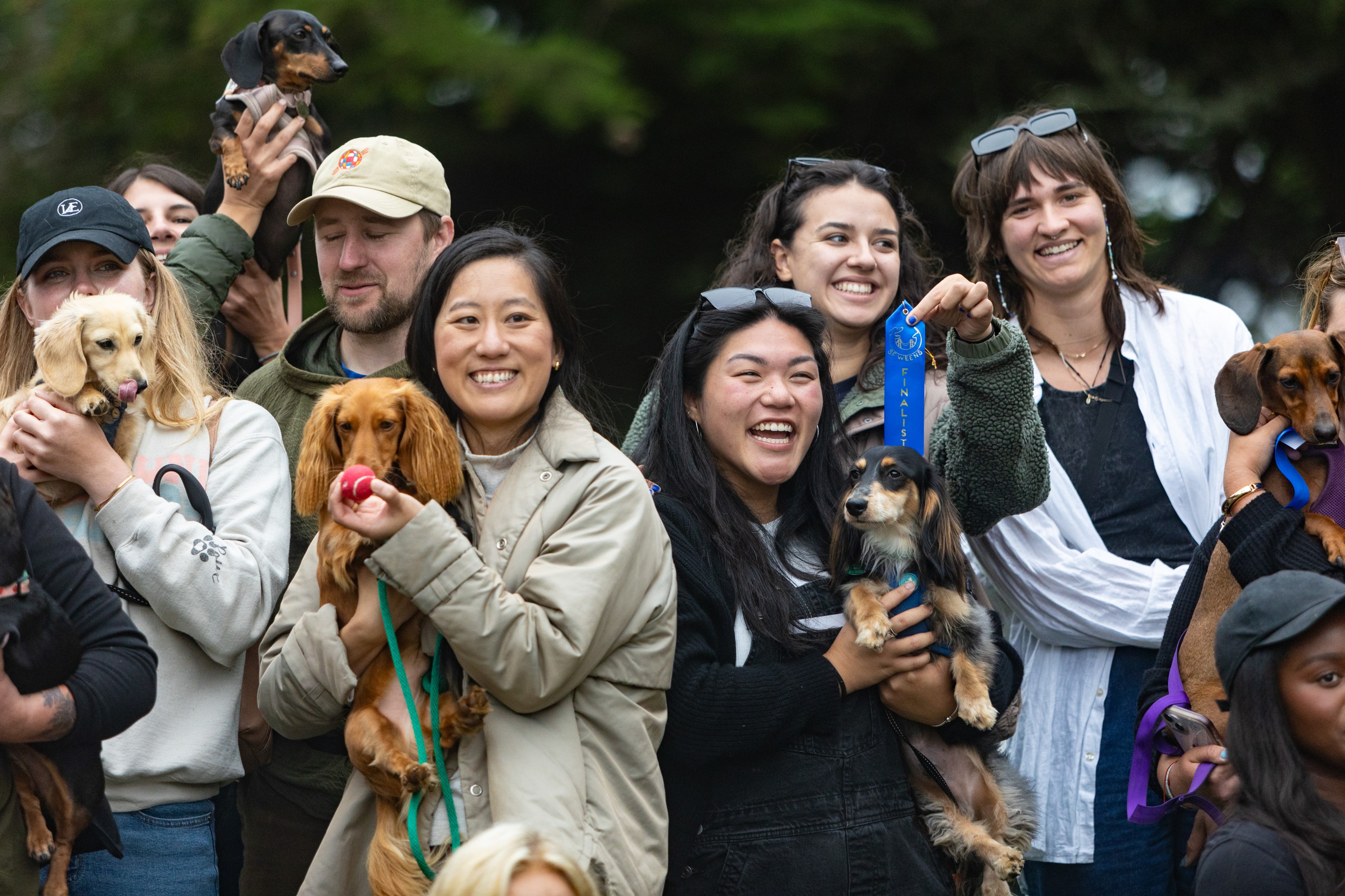 A group of happy people pose with dachshunds, one holding a finalist ribbon. The scene appears joyful, with everyone smiling, and dogs are being held lovingly.