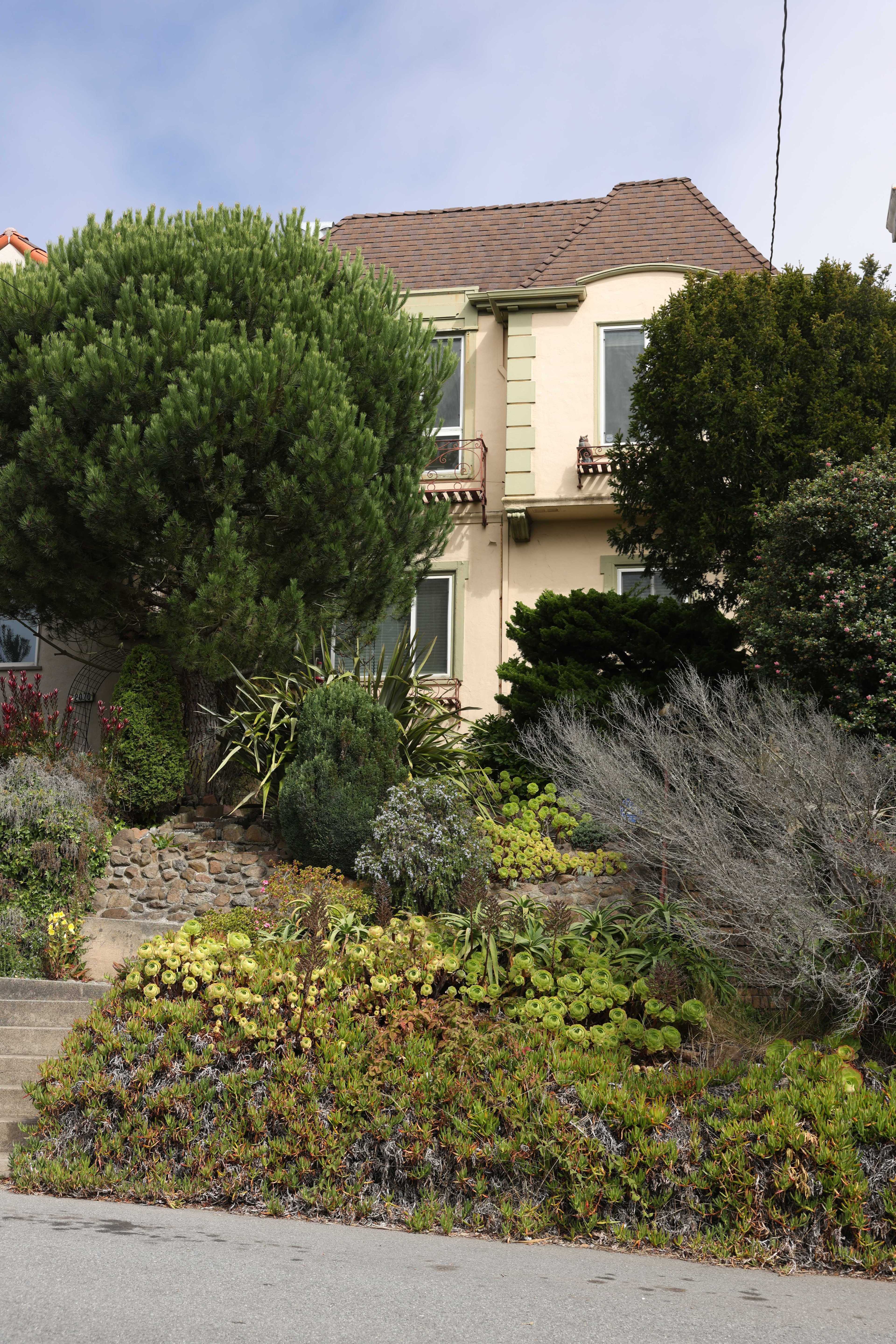 A two-story house with a steep roof is surrounded by a lush garden filled with various green plants, shrubs, and trees, located on a slight hill.