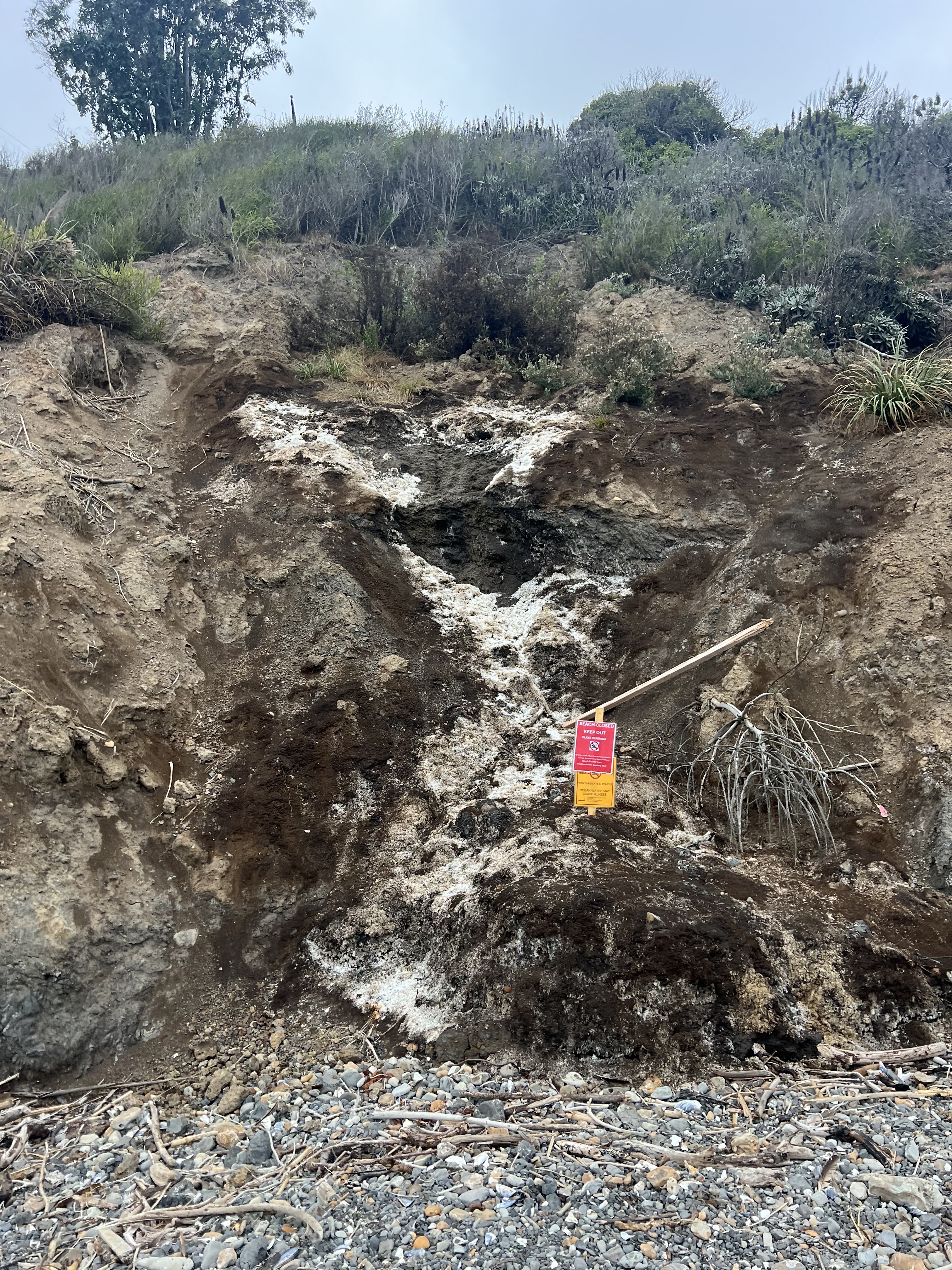 Effluent waste is flowing out of the cliffside onto the beach.