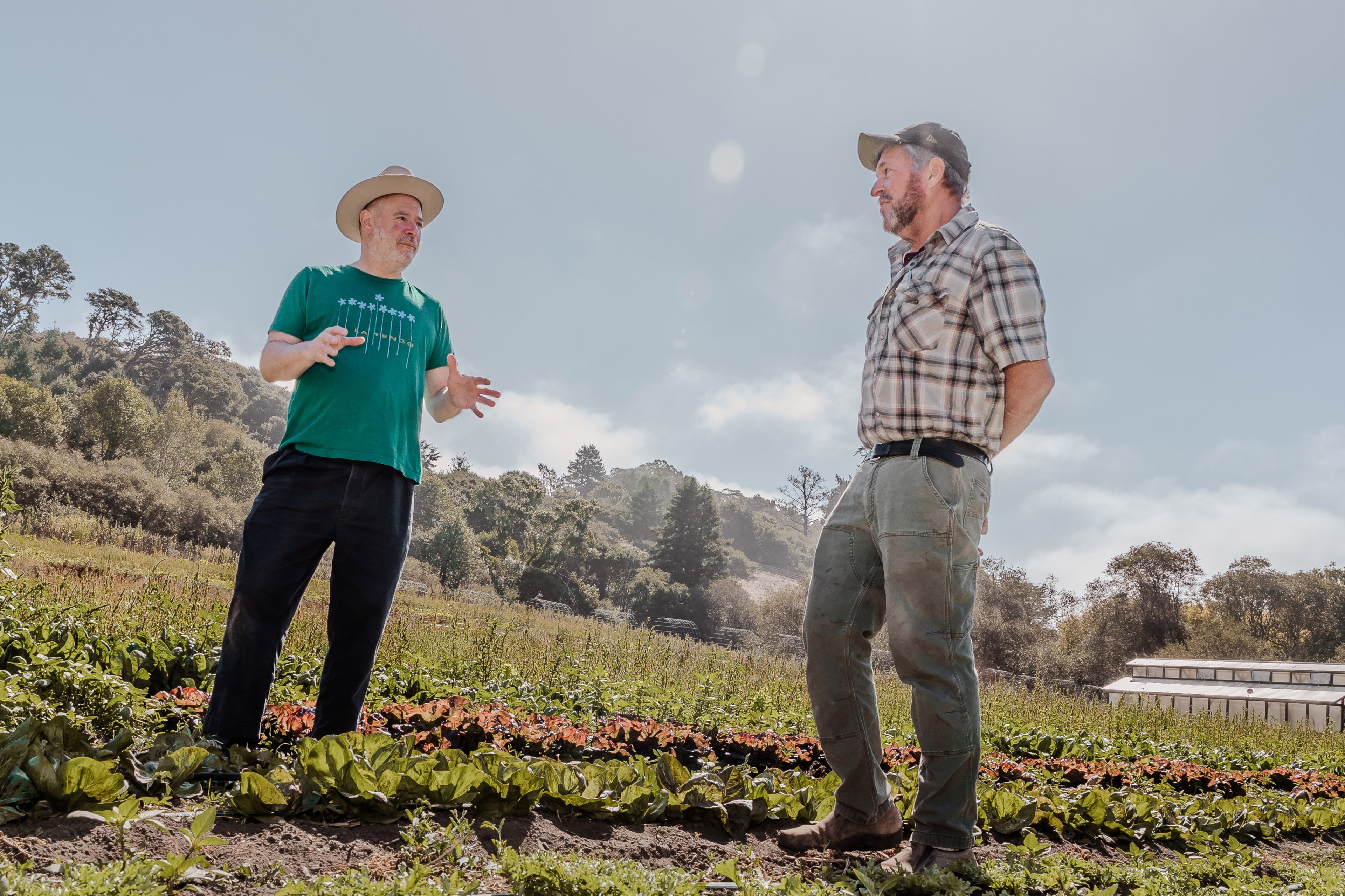 Two men are standing in a sunny field, surrounded by rows of leafy greens. One wears a green shirt and hat, gesturing, while the other in a plaid shirt listens.