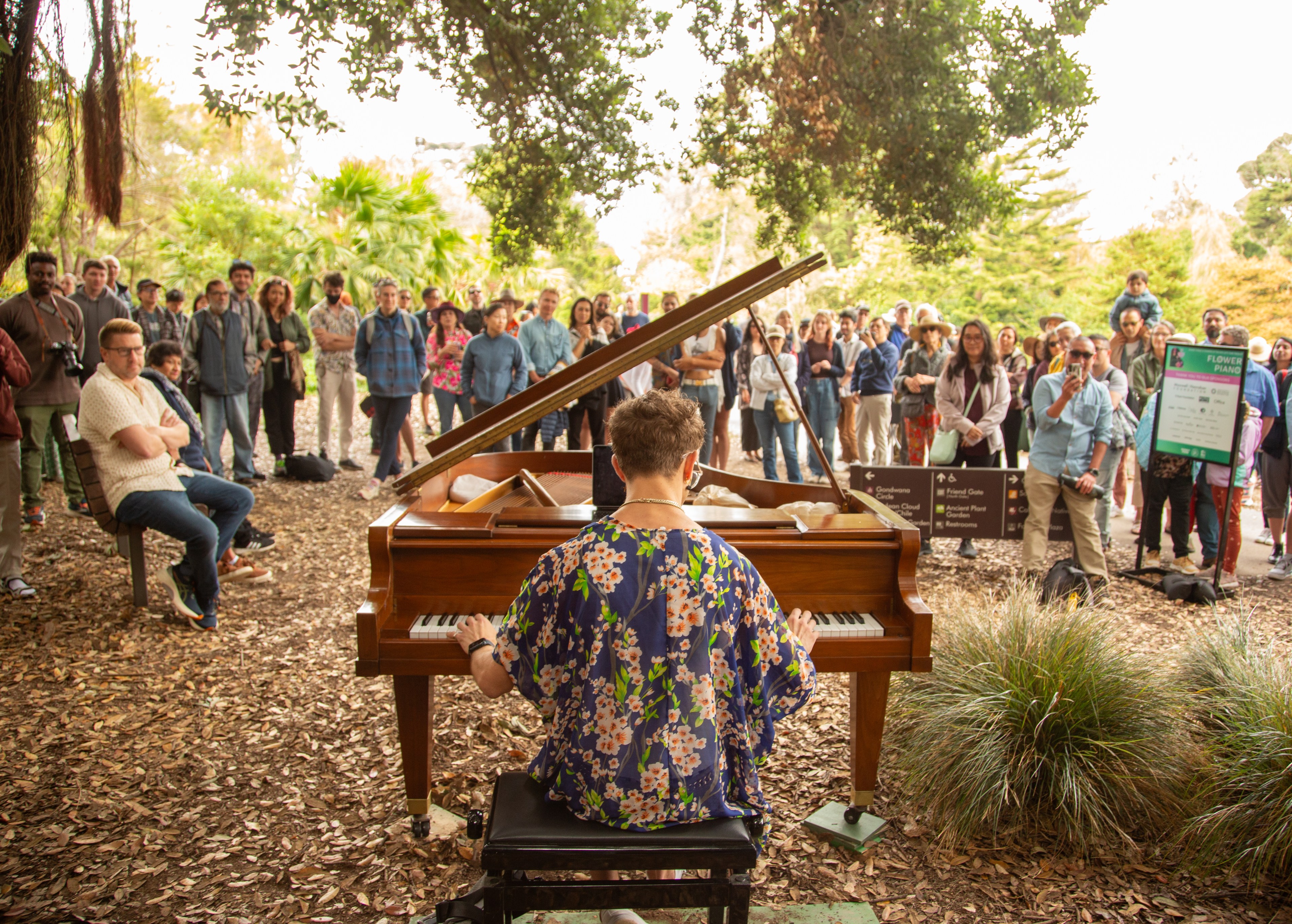 A person plays a grand piano outdoors, surrounded by a diverse crowd. Trees and foliage frame the scene, with people standing and sitting, attentively watching.