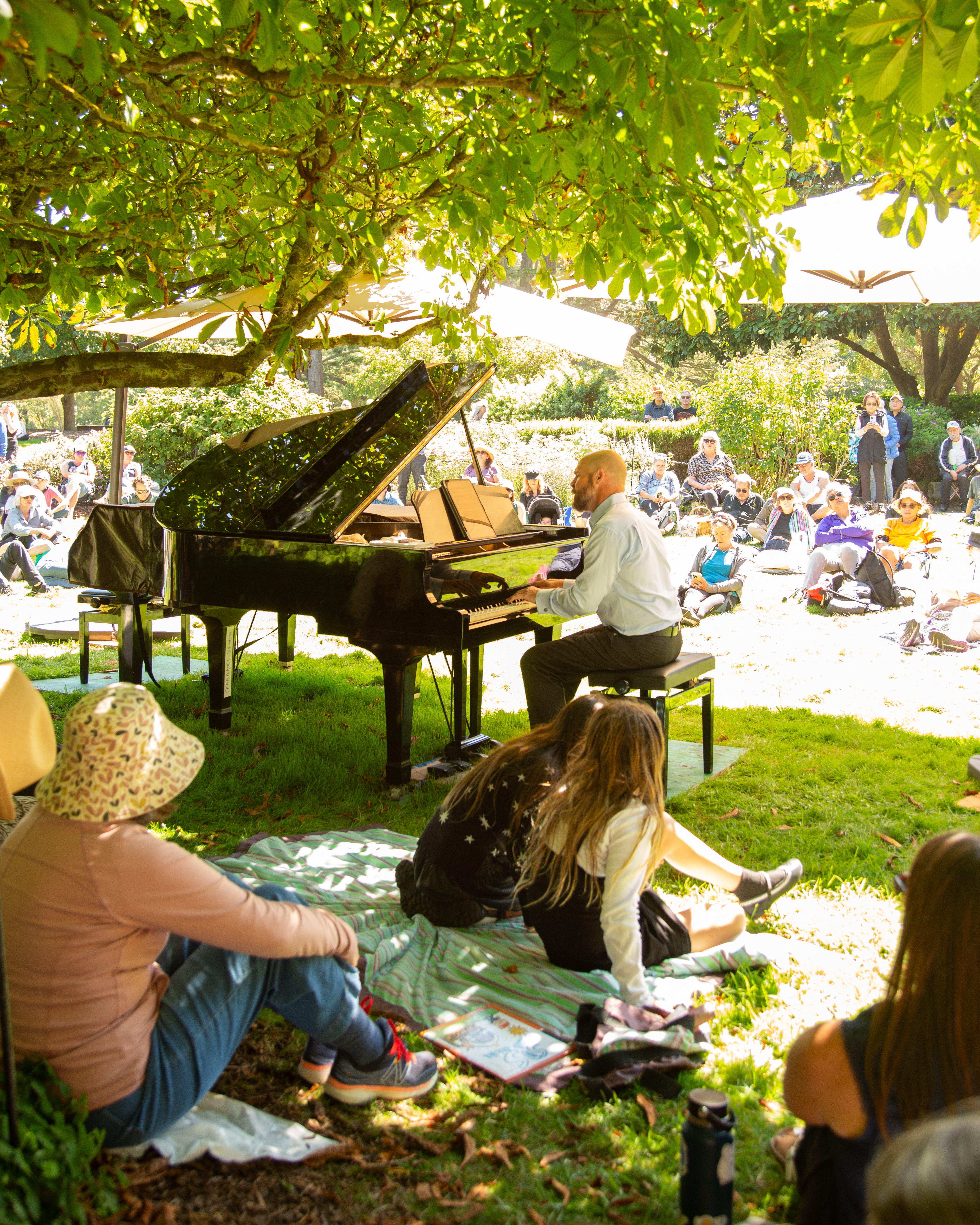 A man performs on a grand piano under the shade of trees in a park as a diverse crowd sits on the grass, enjoying the outdoor concert on a sunny day.