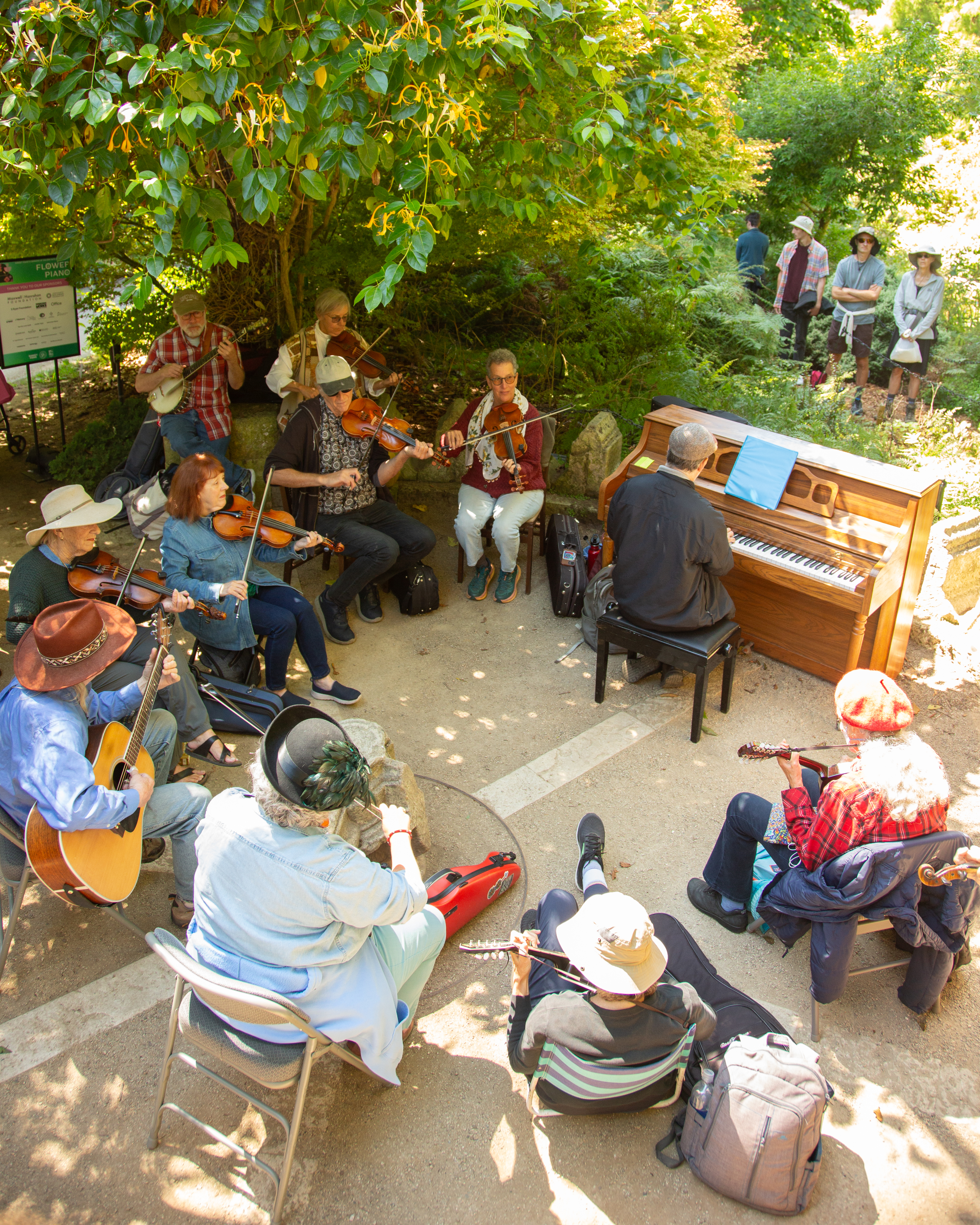 Musicians sit in a circle under the shade of a large tree, playing instruments like violins, a banjo, guitars, and a keyboard while people stand nearby watching.