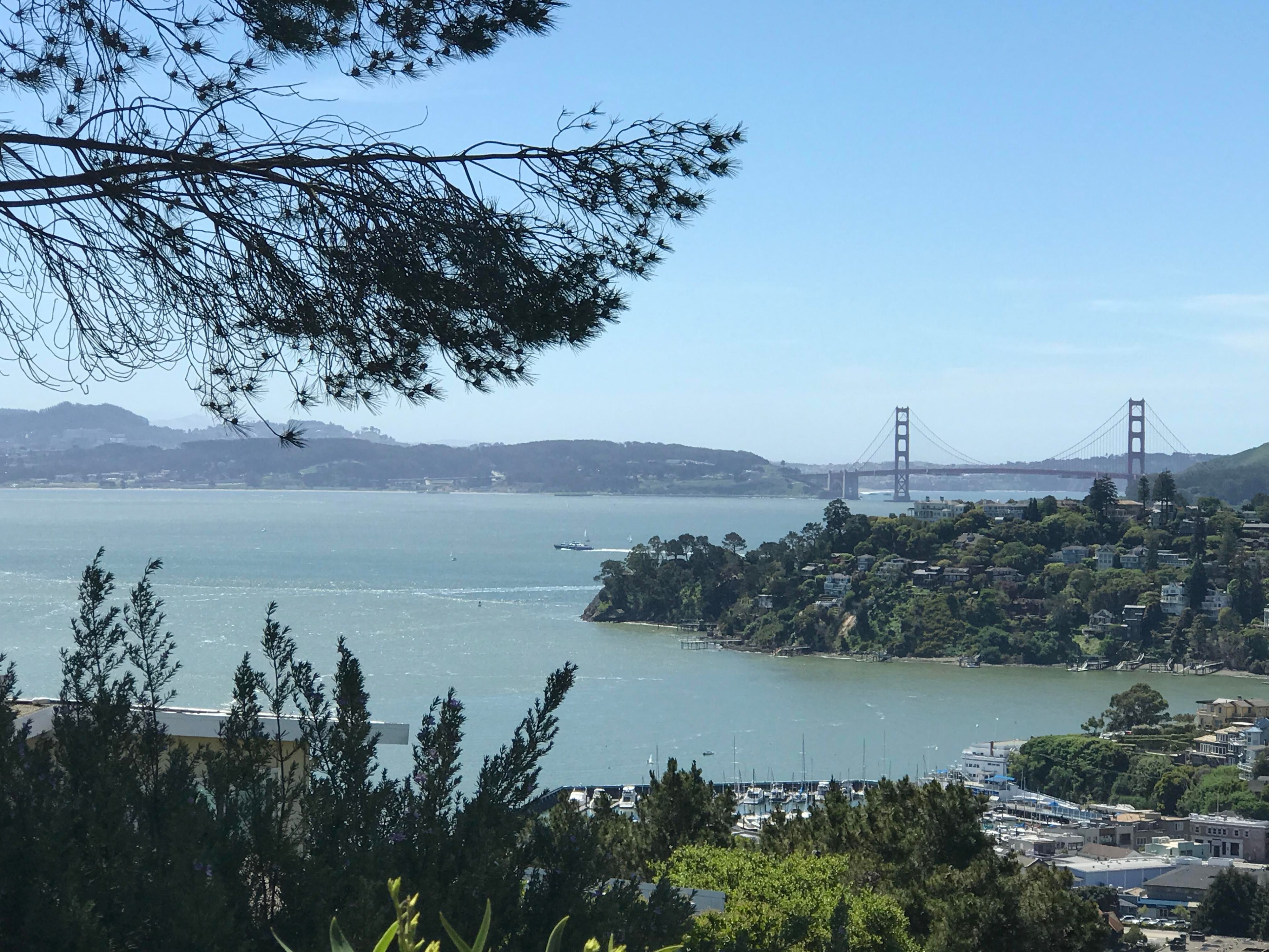 The image shows a view of the Golden Gate Bridge over a body of water, with hills and a marina in the foreground.