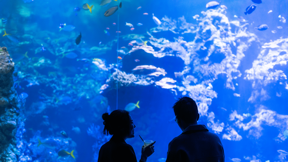 Two people silhouetted against a large aquarium tank full of colorful fish; one holds a drink, and they appear to be engaged in conversation, enjoying the marine view.