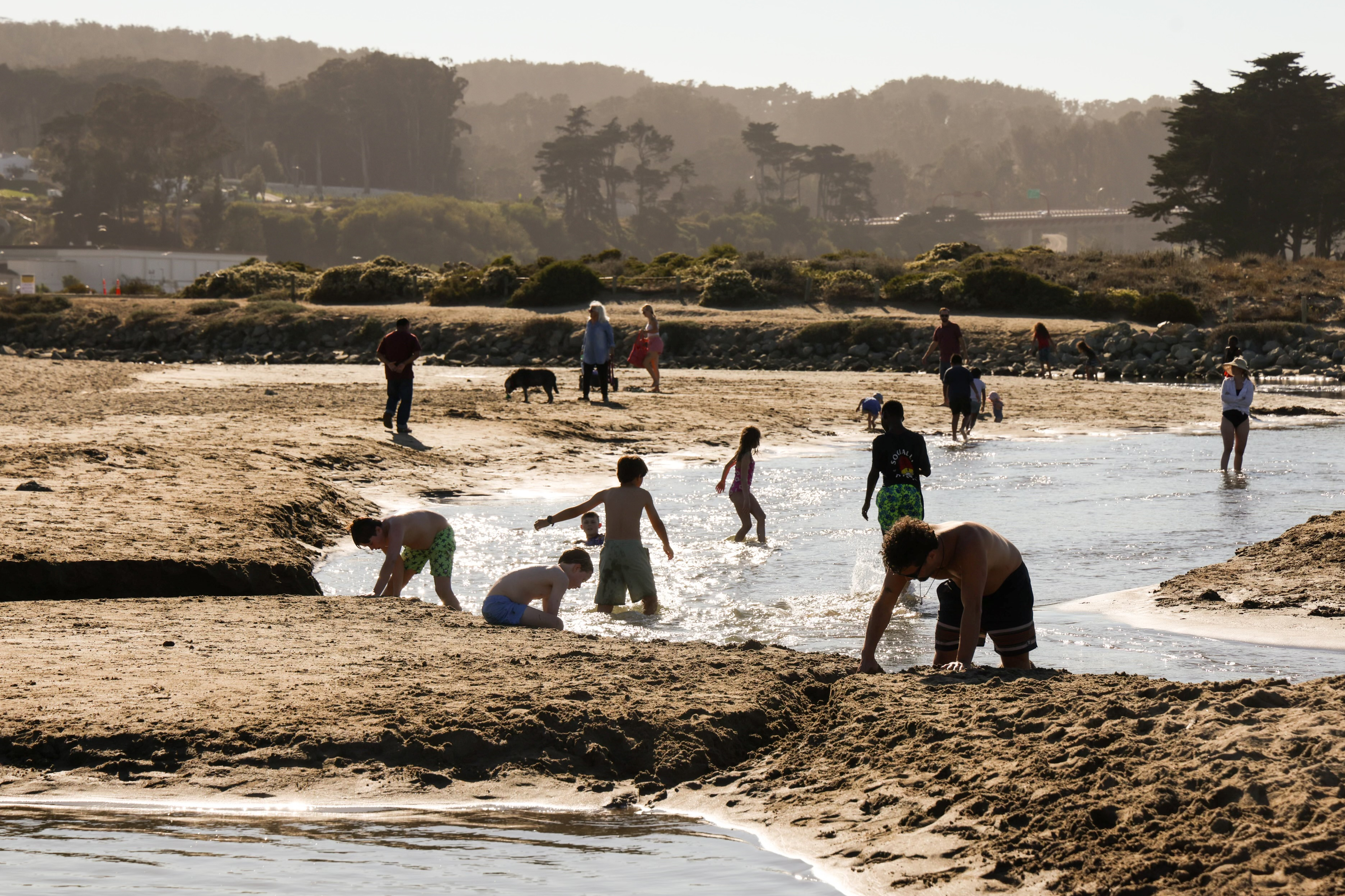 People of all ages are enjoying a sunny day at the beach, playing in the shallow water and sand, with trees and a hilly landscape in the background.