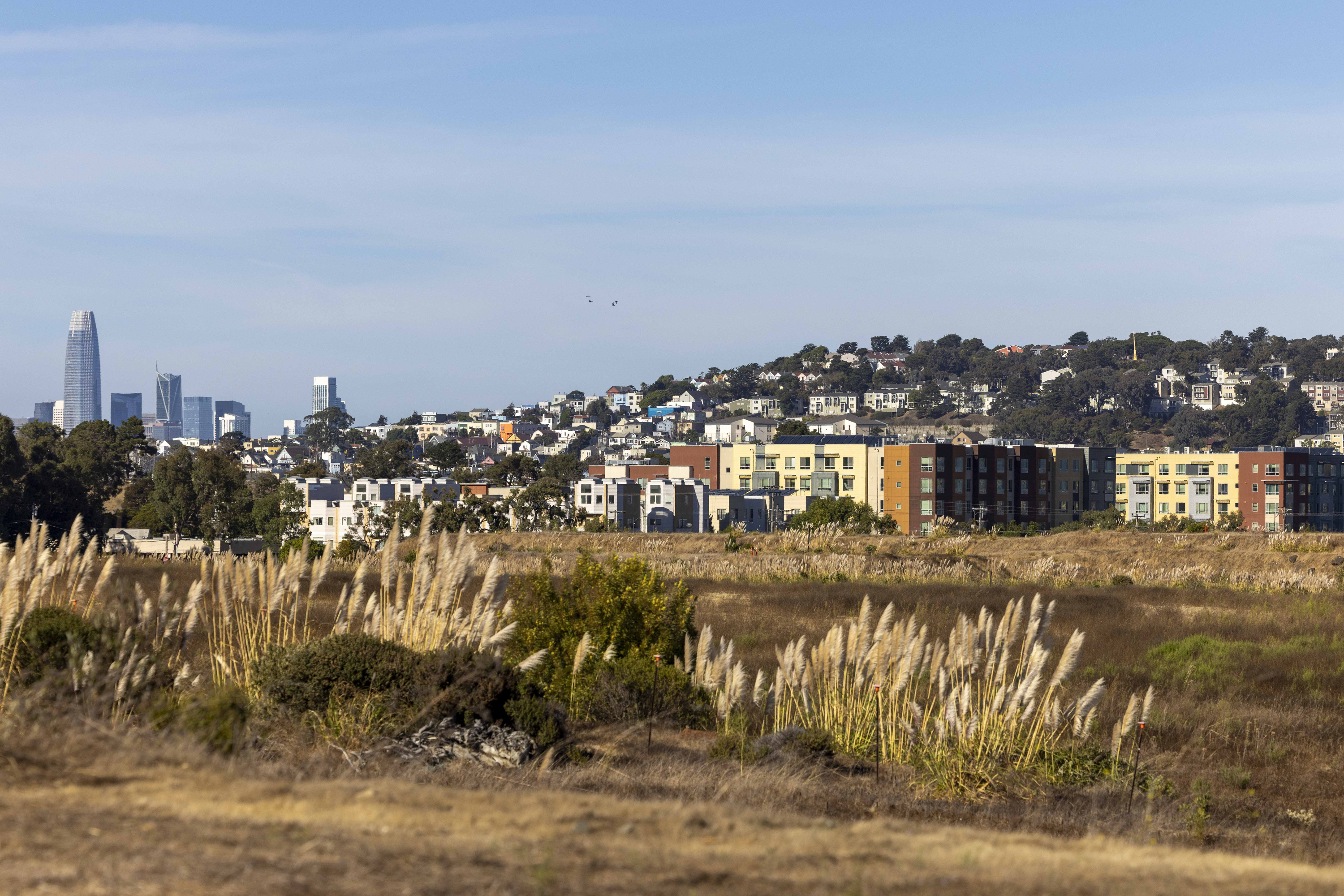 A field with tall grasses in the foreground, mid-rise buildings and houses on a hill behind, and city skyscrapers in the distant skyline under a clear blue sky.