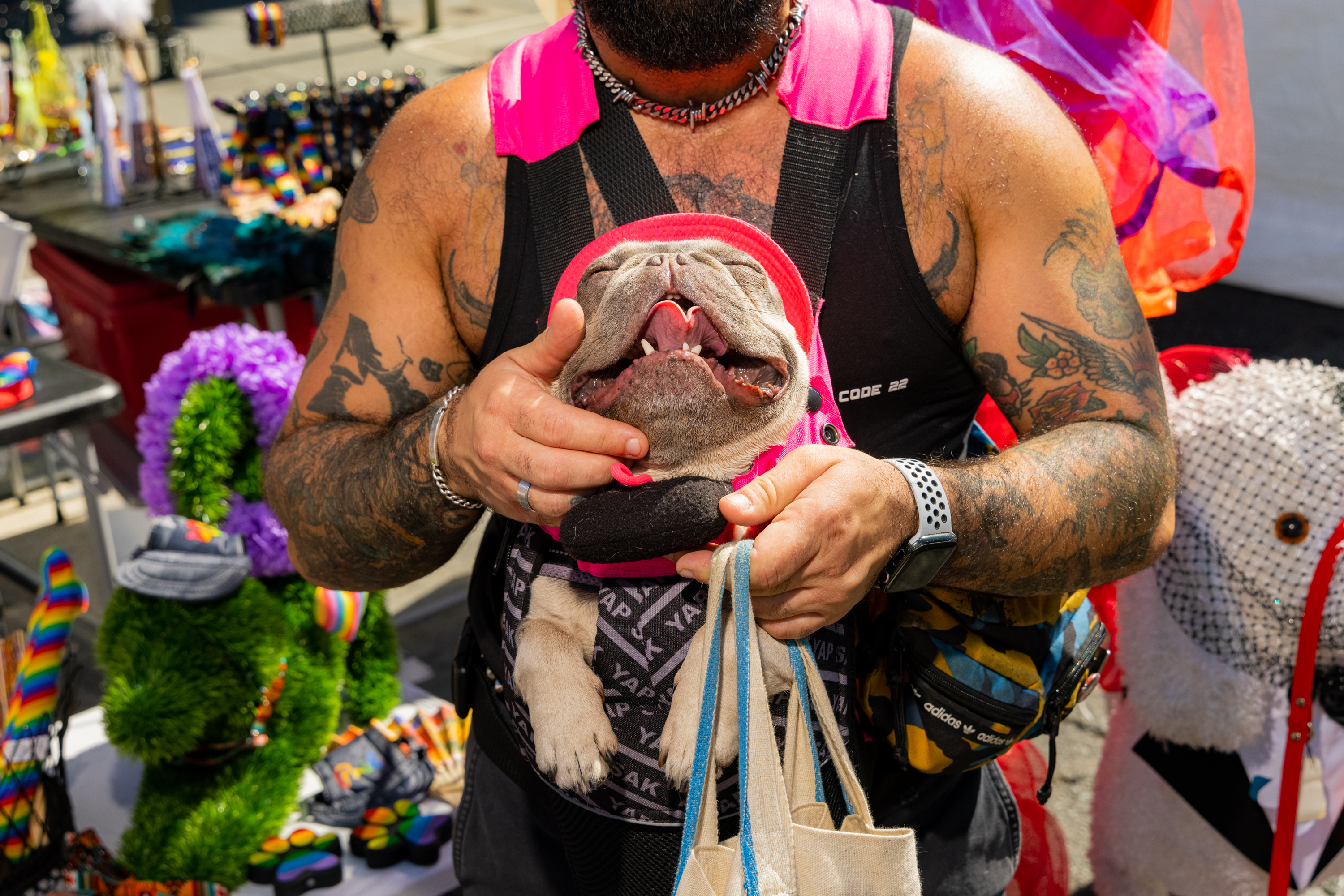 A person with tattoos and a beard holds a happy bulldog wearing a pink outfit in a carrier. The background features colorful items and decorative displays.