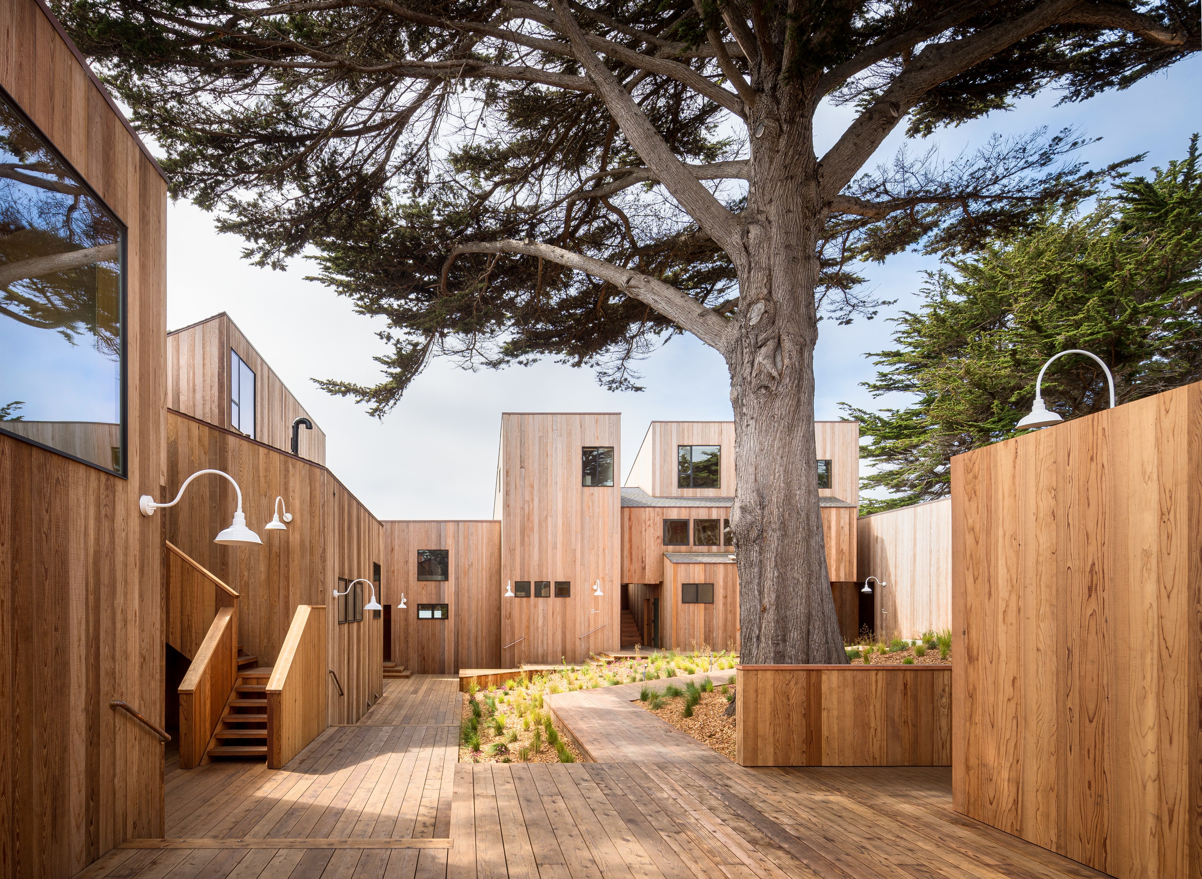 The image shows a modern wooden courtyard with various structures, centered around a large tree. Clean lines and minimalist design dominate the architecture.