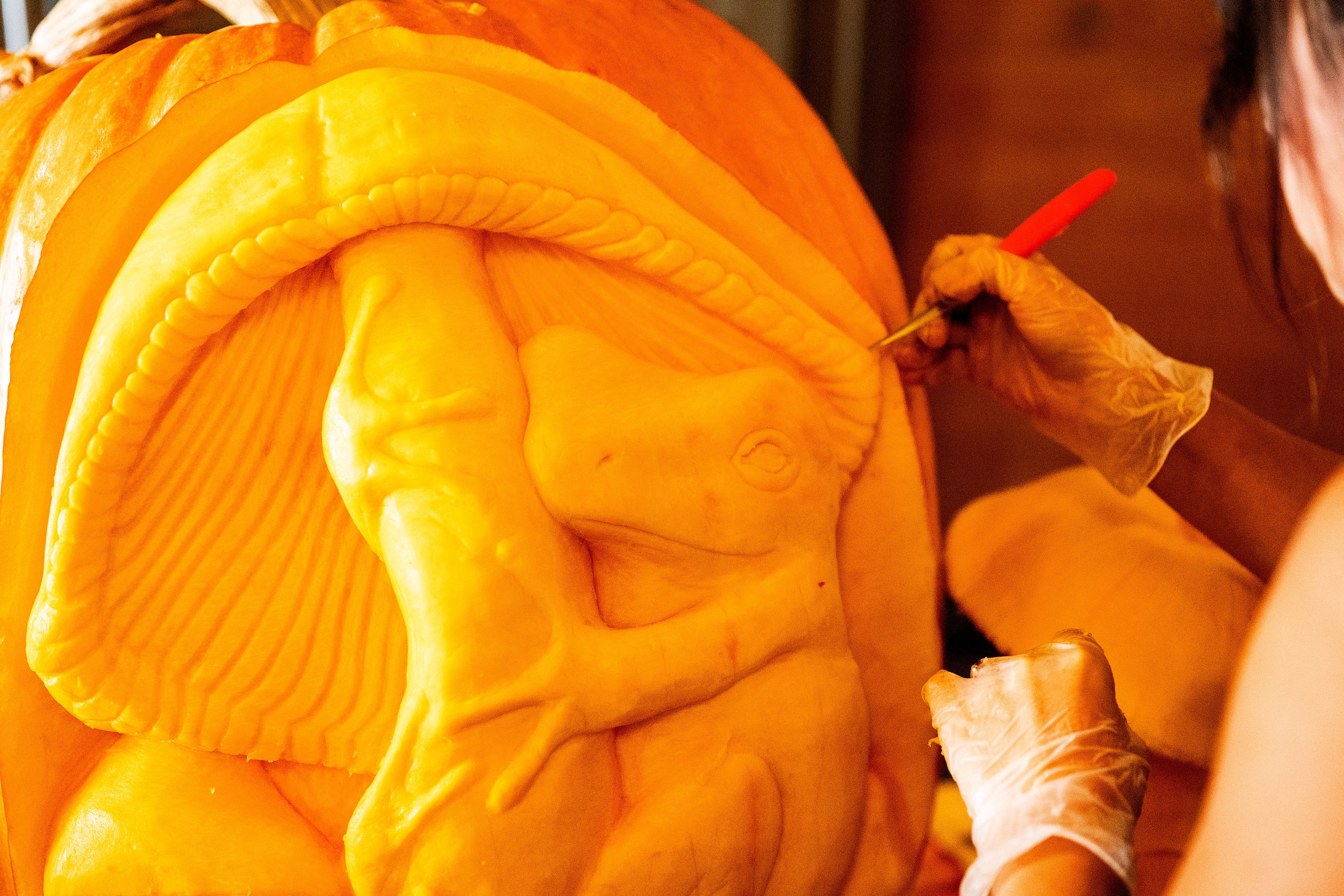 A person wearing gloves carves a detailed lizard or reptile design onto a large pumpkin, using a carving tool to create intricate details.