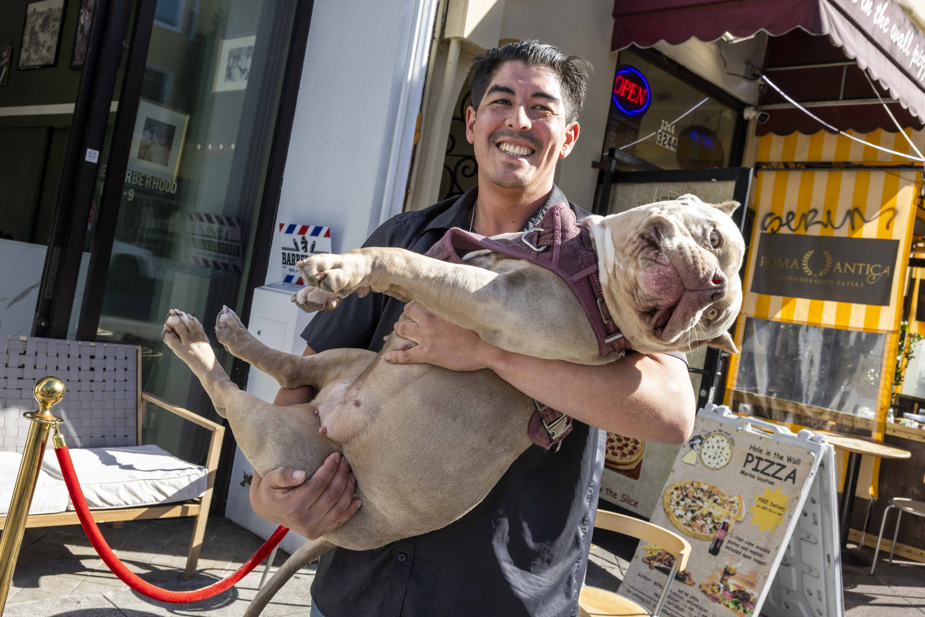 A smiling man holds a large gray and white dog outside a cafe with a striped awning. The dog wears a harness and appears relaxed. A pizza sign is visible.