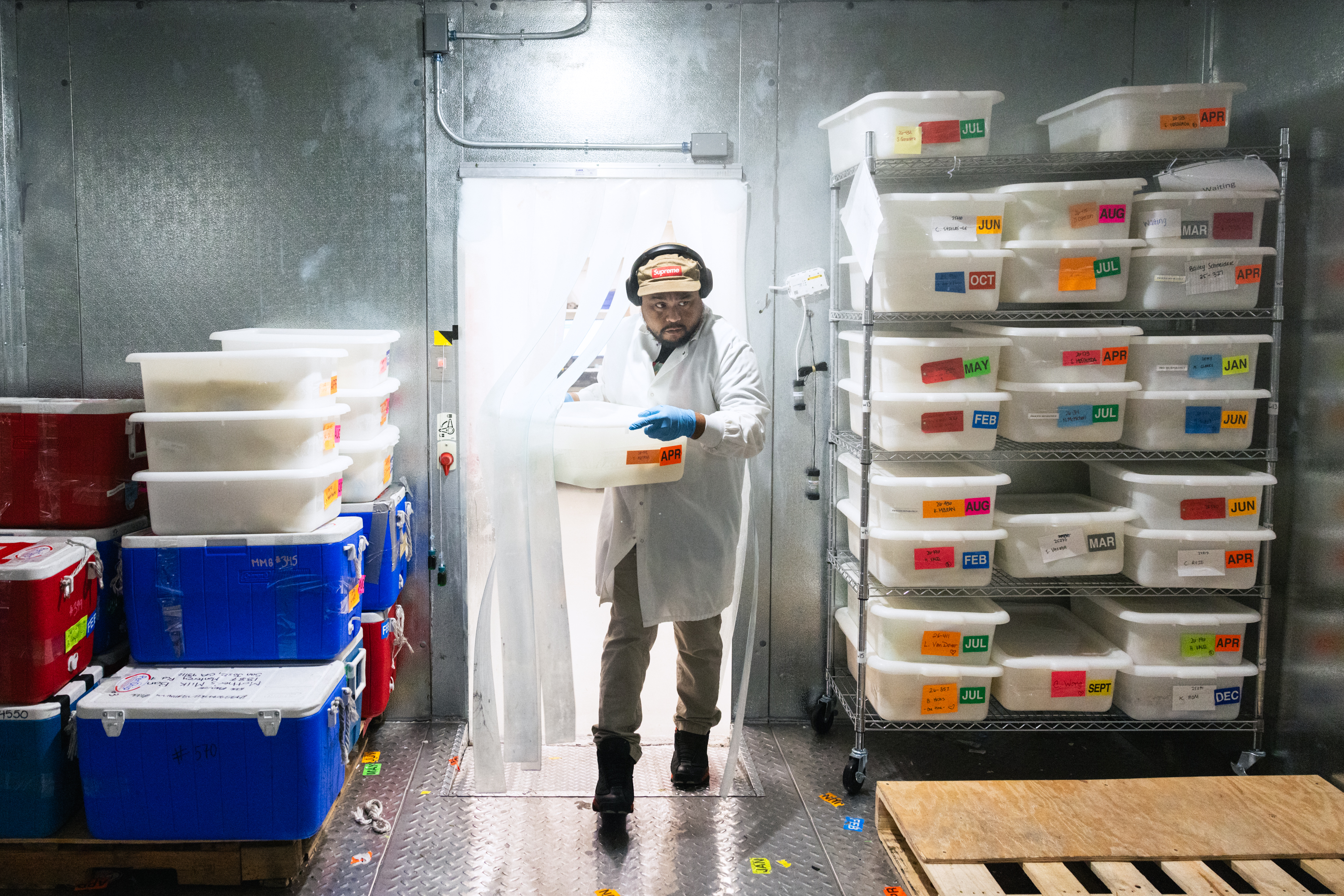 A person wearing a lab coat and gloves carries a plastic bin labeled &quot;APR&quot; in a storage room. Shelves with more labeled bins are visible, indicating organized storage.