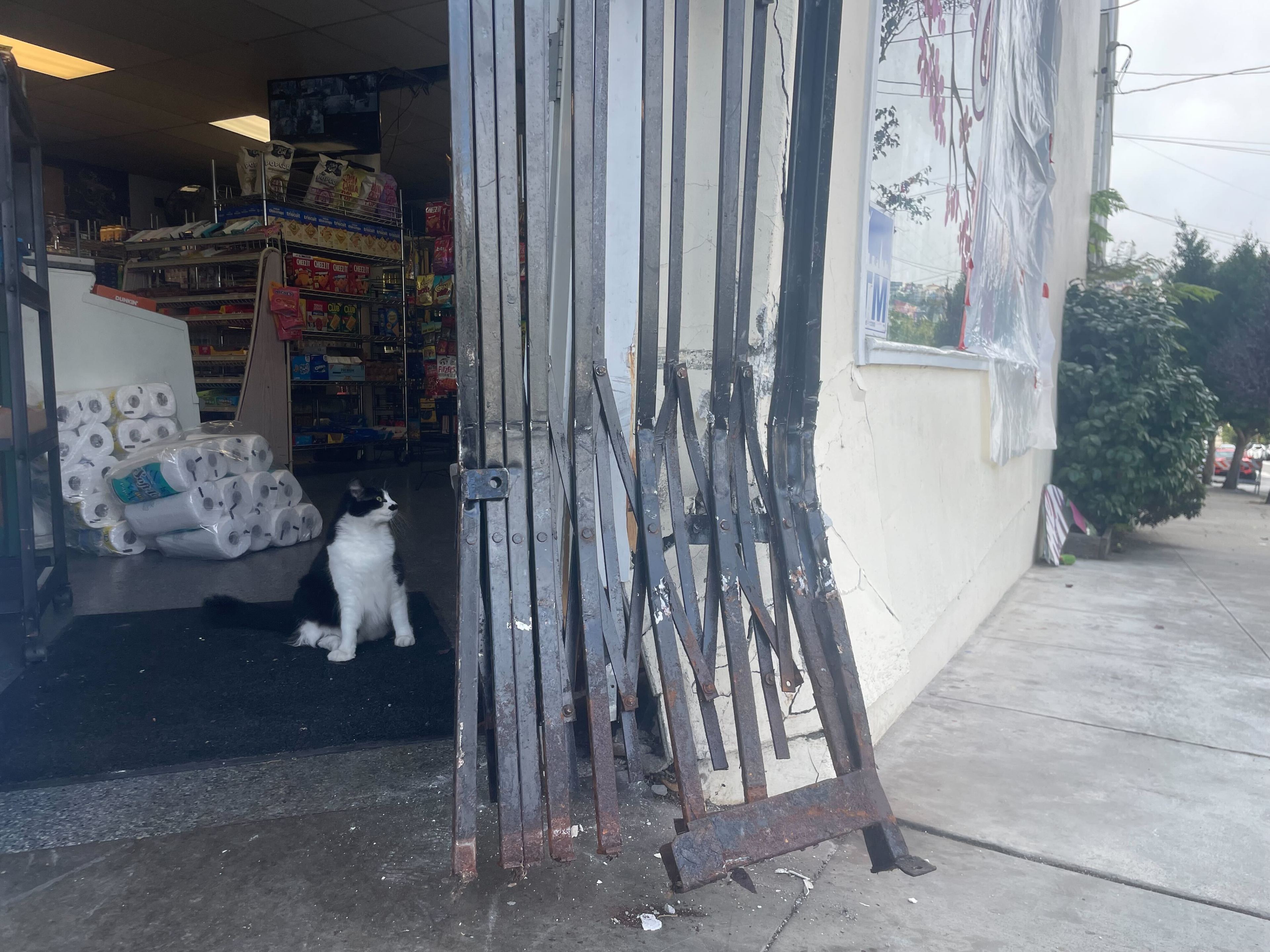 A black and white cat sits at the entrance of a shop with damaged security gates. Inside, shelves are stocked with various goods, and stacked paper towels are visible.