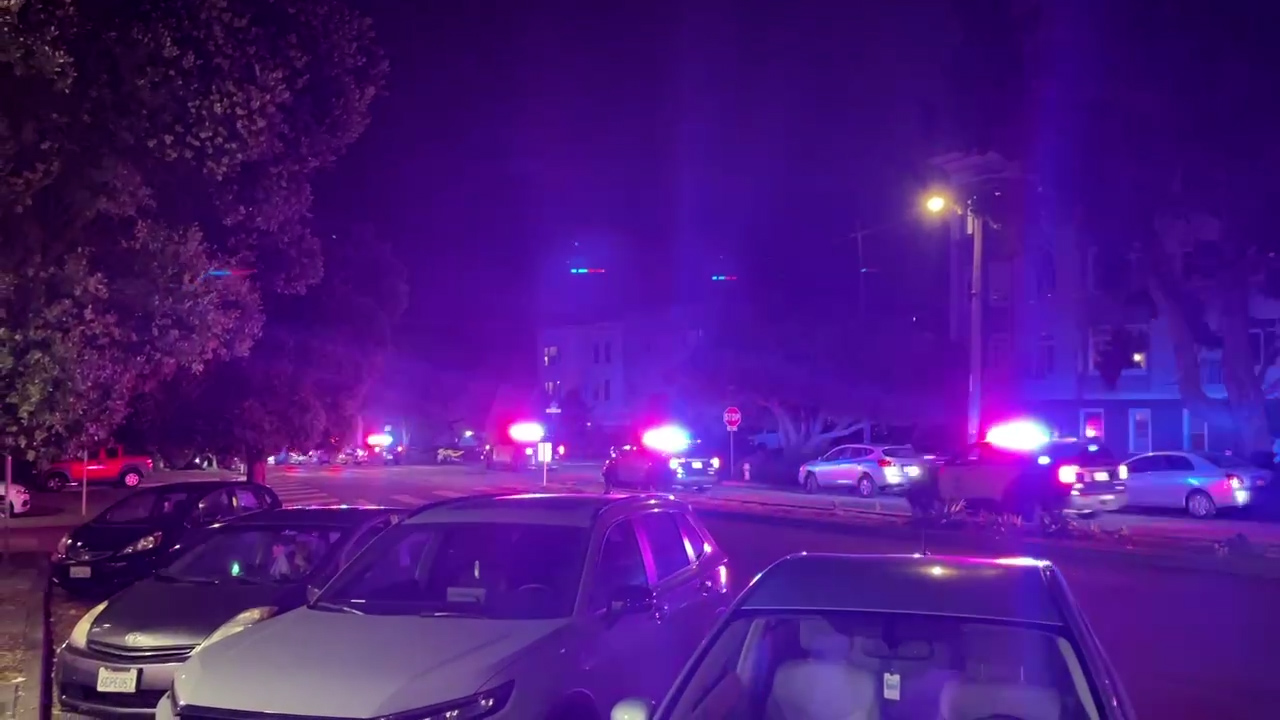 The image shows a nighttime street scene with multiple police cars displaying flashing red and blue lights, illuminating parked vehicles and nearby buildings.