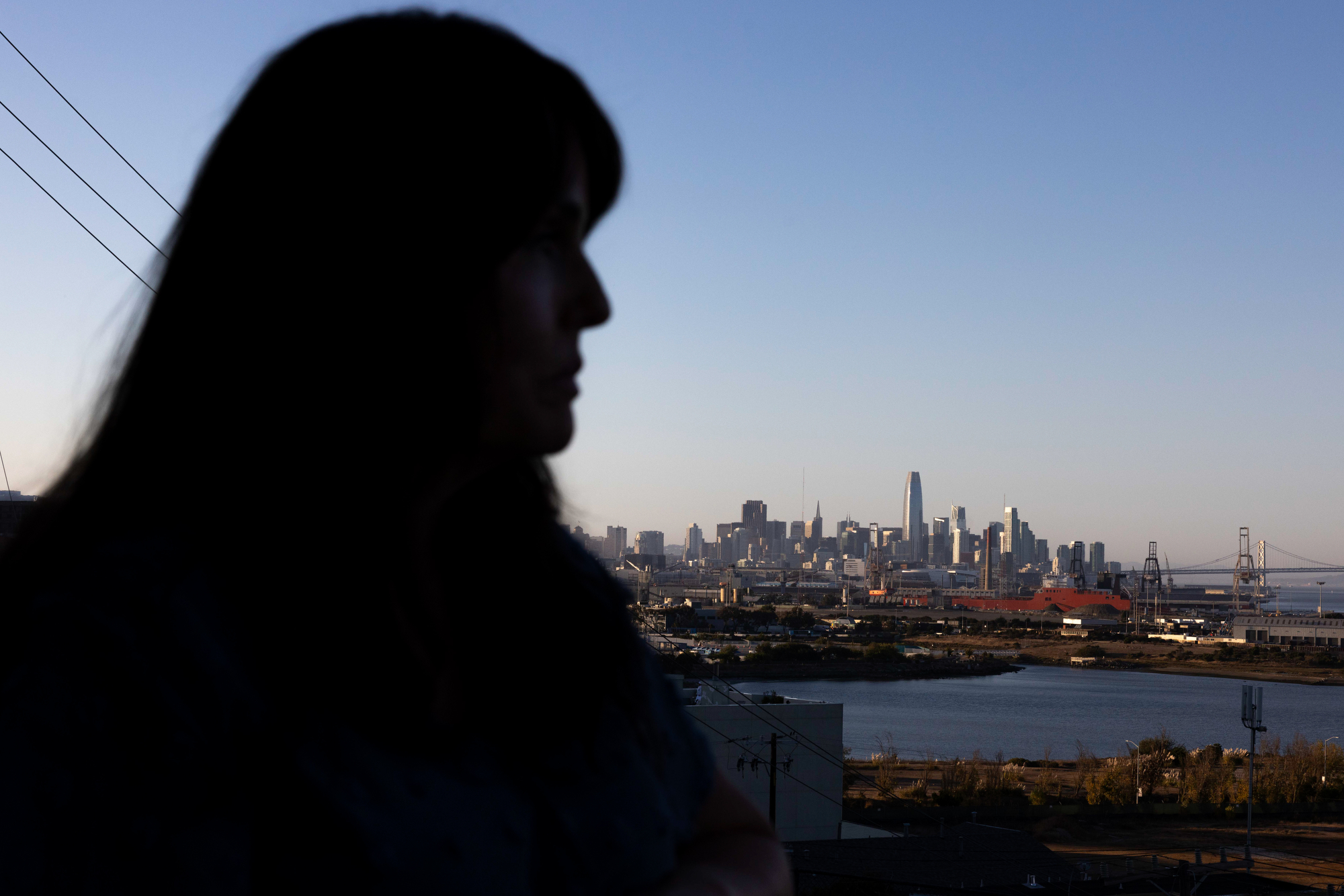 A dark silhouette of a person is in the foreground, with a clear view of a city's skyline and a bridge in the background, under a clear blue sky.