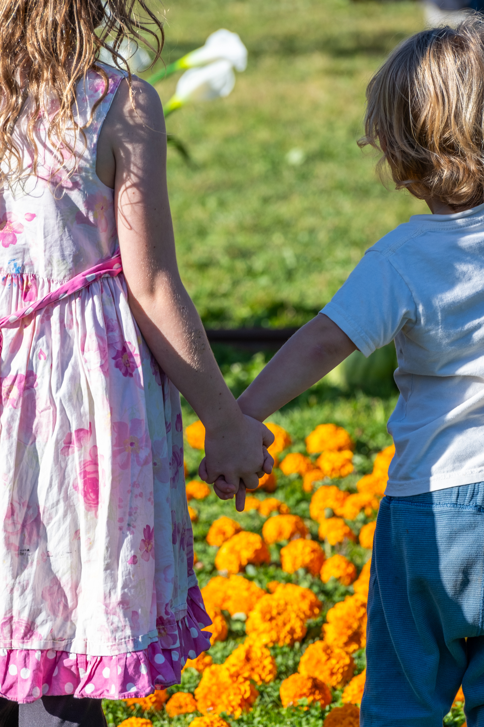 A girl in a floral dress and a boy in a white shirt and blue pants hold hands, standing in front of a vibrant bed of orange flowers in a sunny garden.