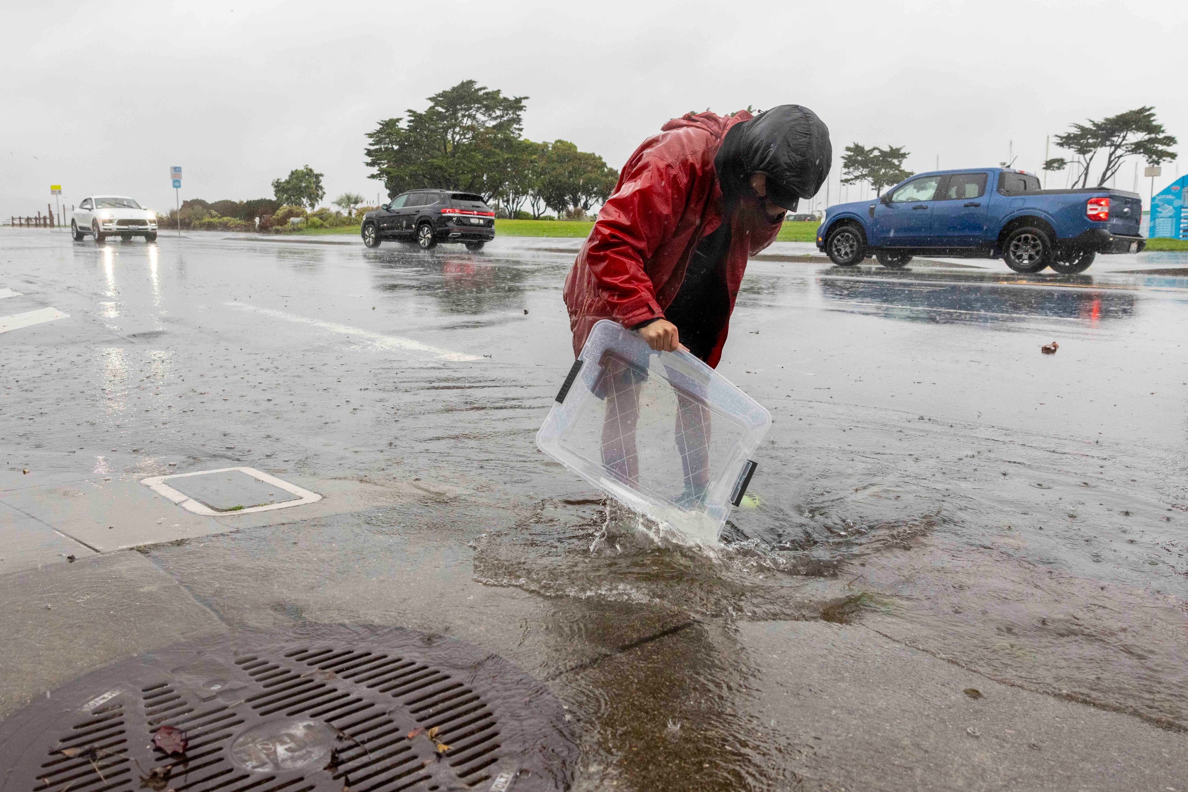 A person in a red raincoat pours water from a plastic container into a flooded street drain on a rainy day, while cars drive by and trees stand in the background.