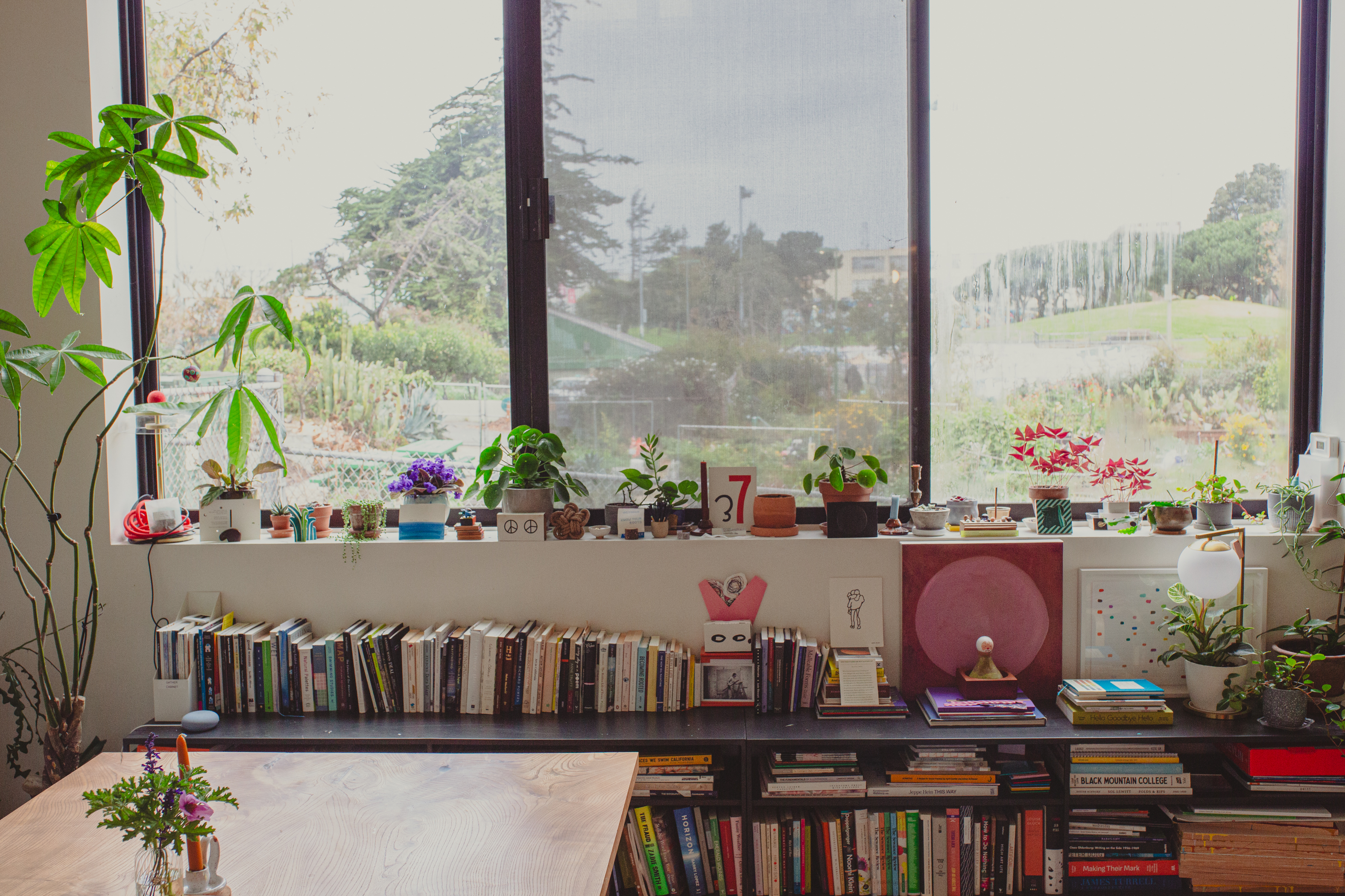 A bright room with a large window showing a garden view. Books and various potted plants line a shelf and table, creating a cozy, lush atmosphere.