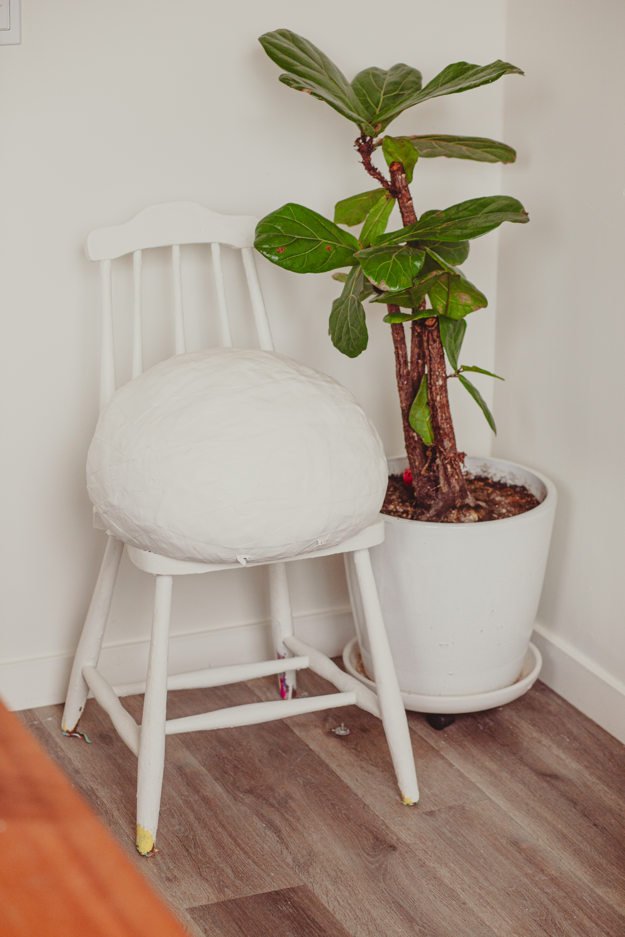 A white wooden chair holds a large, round cushion. Beside it, a potted plant with wide green leaves rests on a wooden floor against a white wall.