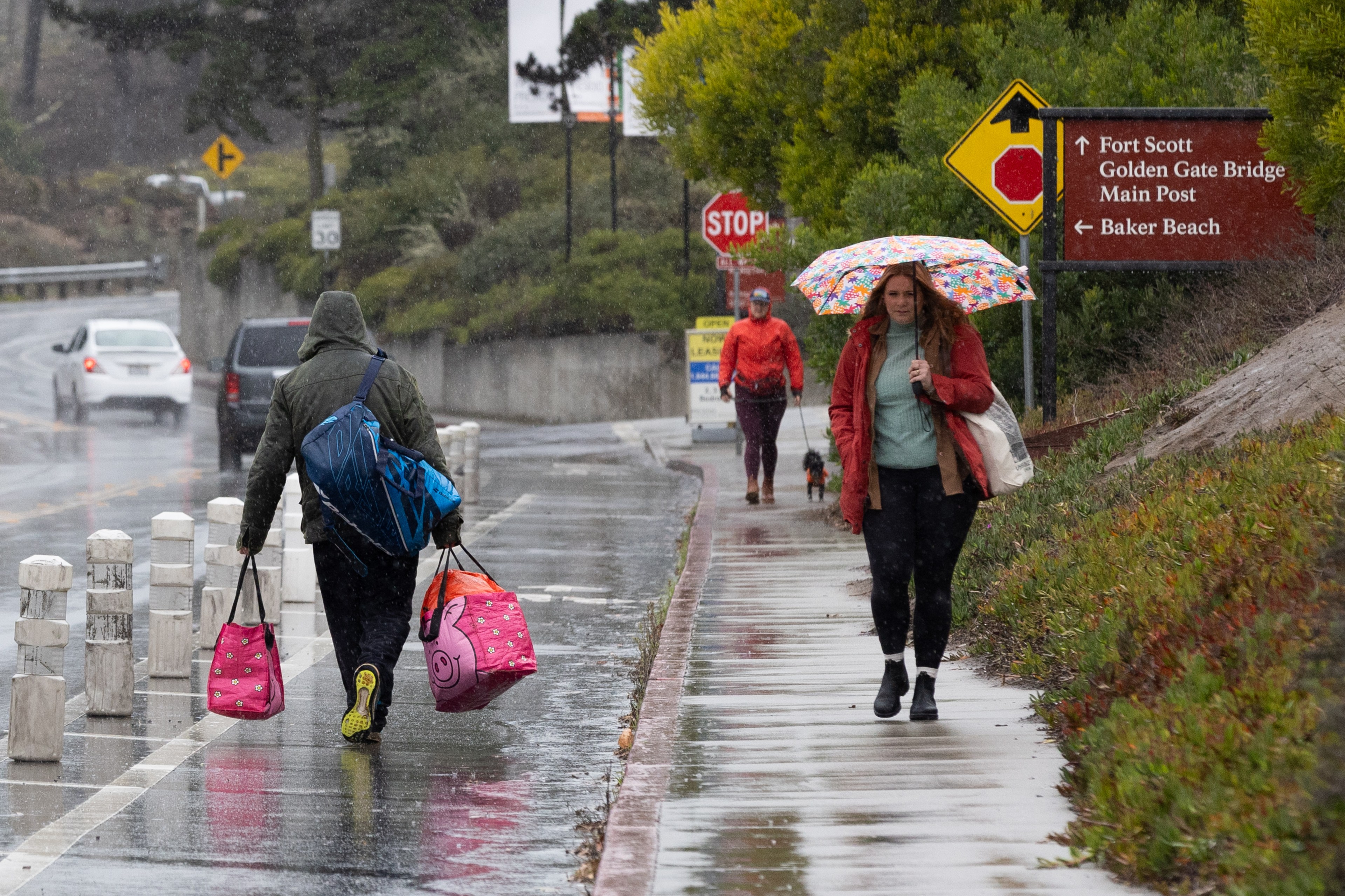 In the rain, a person with a colorful umbrella walks on a wet sidewalk. Another person in a hooded jacket carries bags. People walk with a dog nearby.