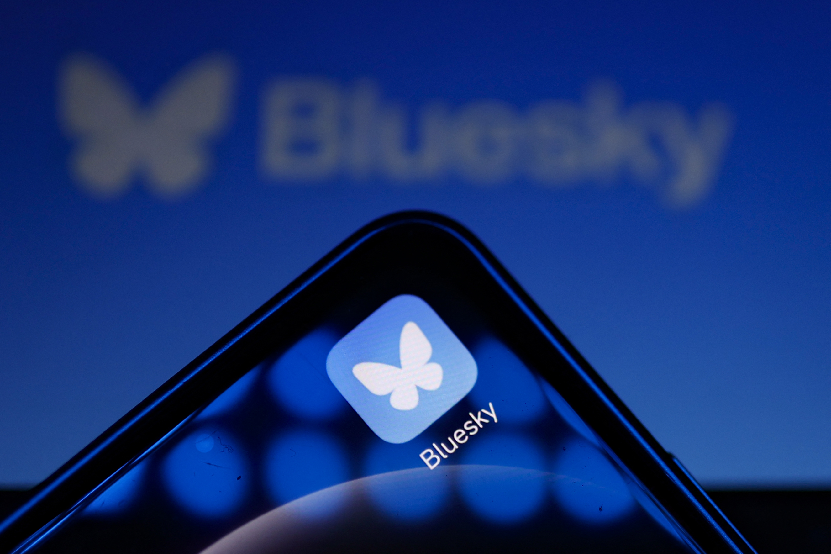 The image shows a smartphone screen with the Bluesky app icon, which features a white butterfly on a blue background. The word "Bluesky" is blurred in the background.