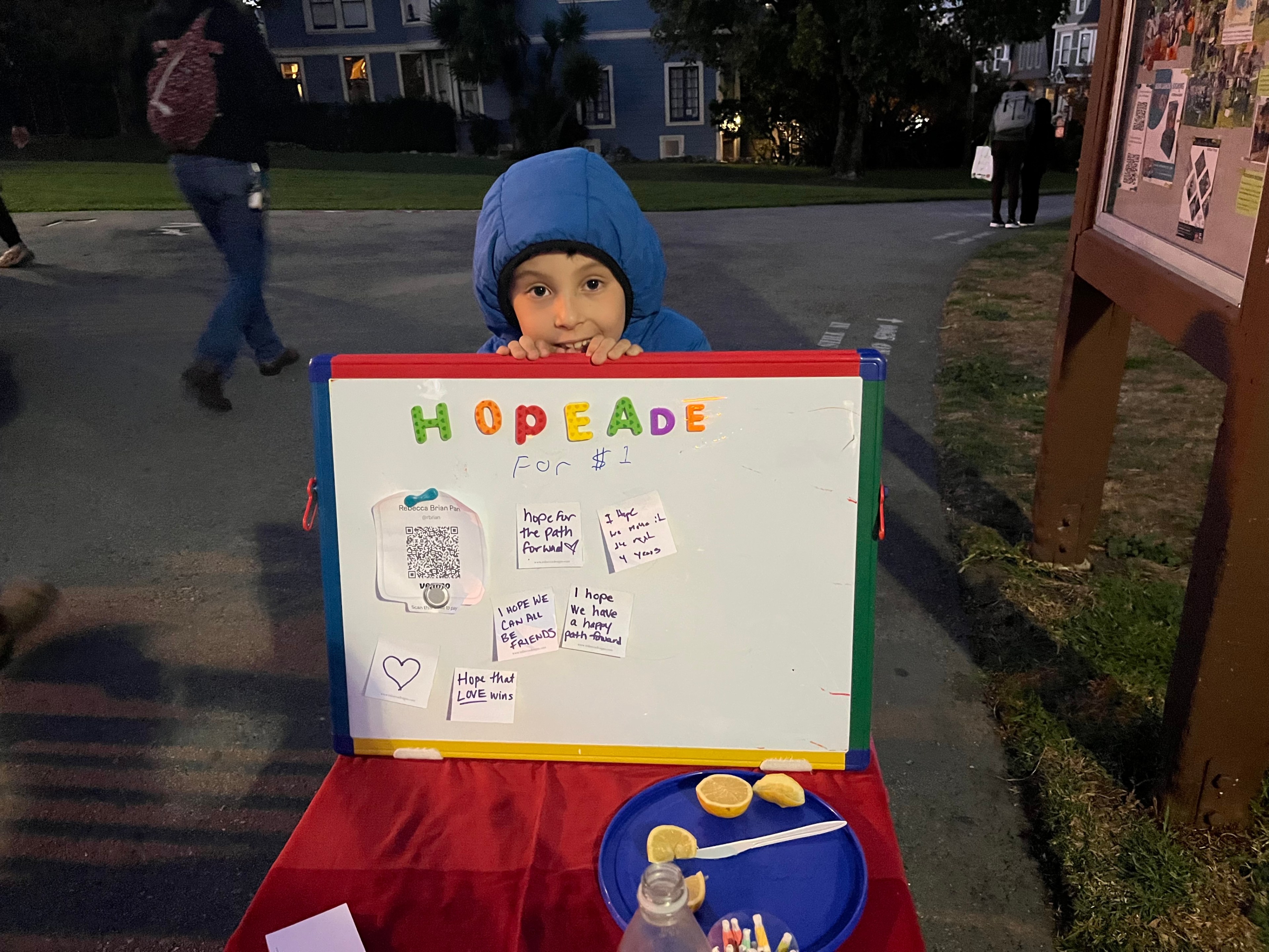 A child in a blue hoodie stands behind a &quot;Hopeade for $1&quot; stand. The board has notes and lemons are on a plate. It's evening in a park setting.