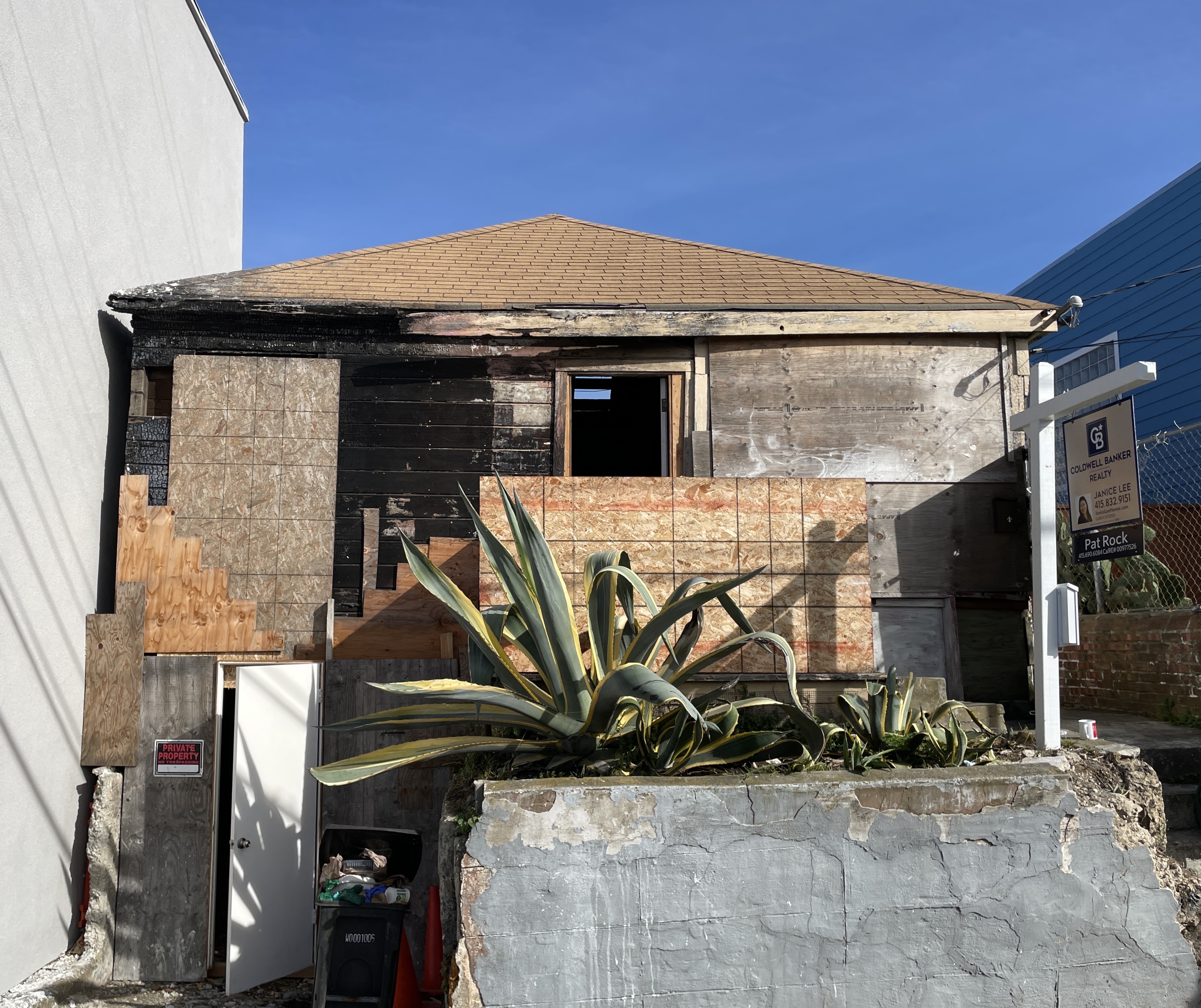 A weathered house with boarded windows and a partial roof, featuring charred wood and a large agave plant in front, stands between two modern buildings.