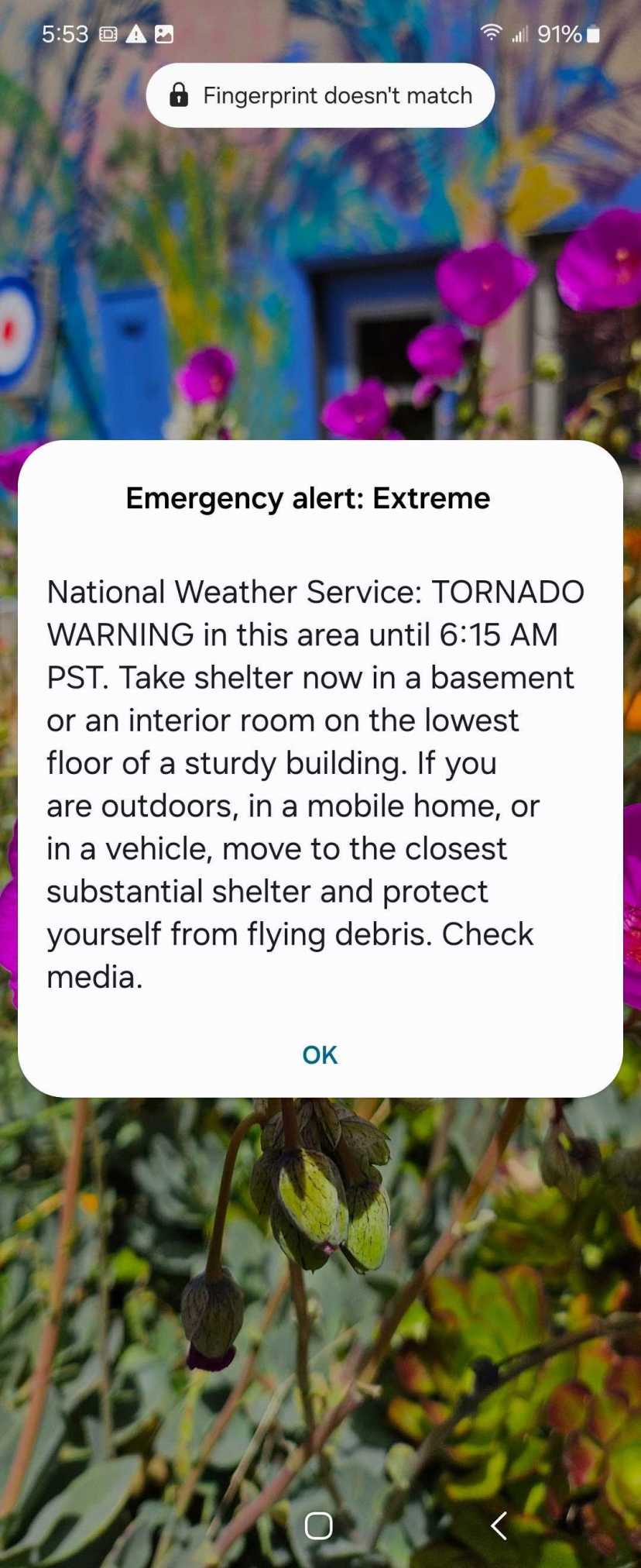 Tornado warning wakes San Francisco The San Francisco Standard