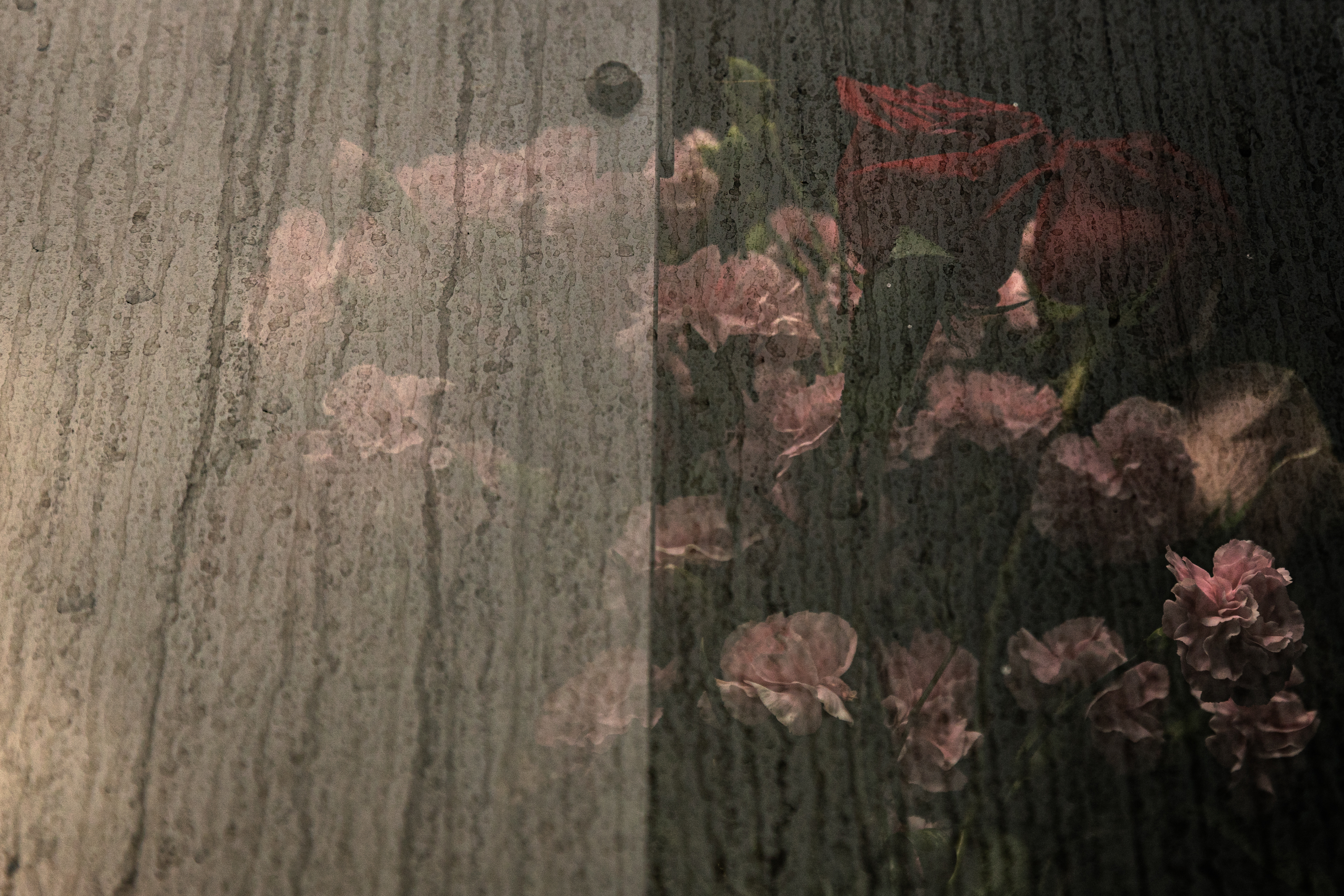 The image shows pink and red flowers seen through a rain-soaked window, creating a textured, blurred effect with vertical water streaks.