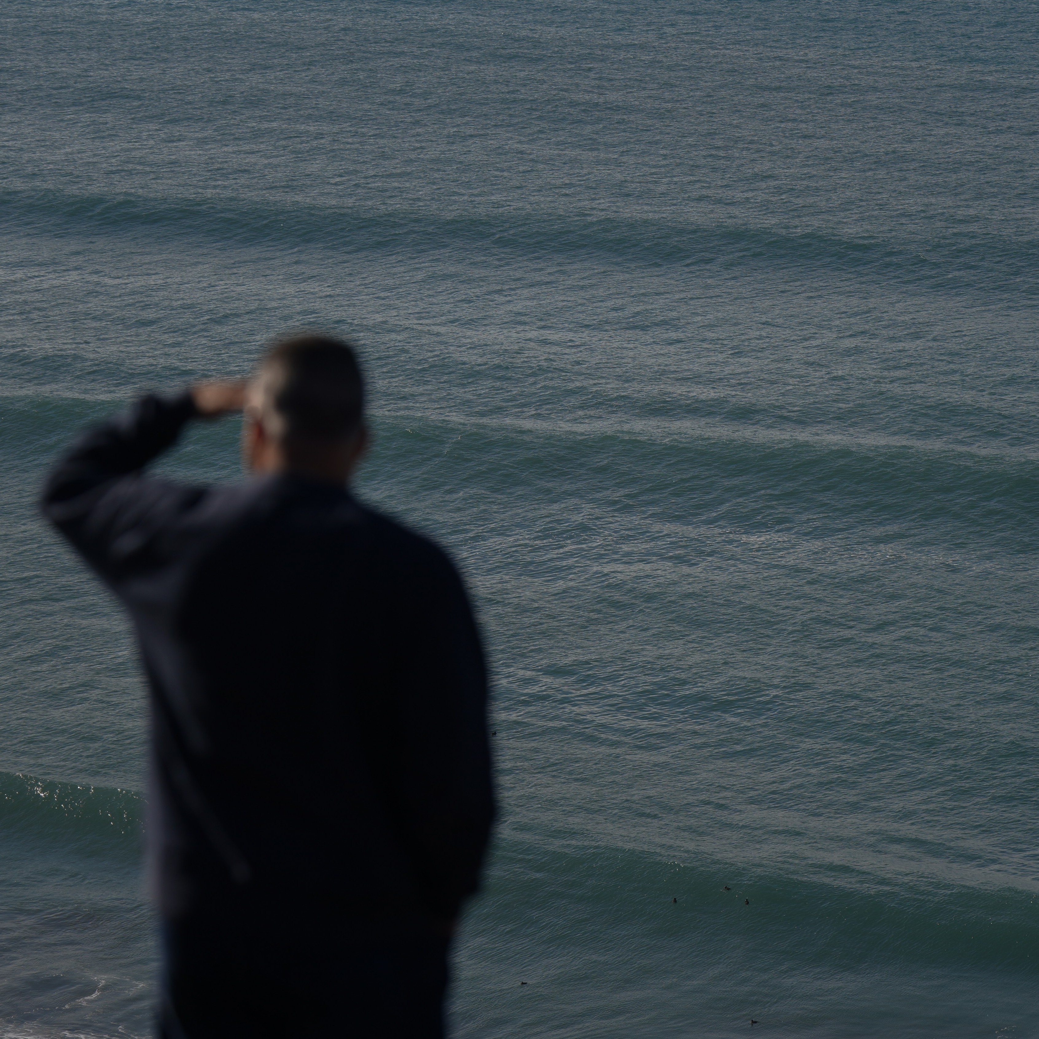 A blurred figure stands near the water, gazing into the distance while covering their eyes with a hand. The ocean spreads out with gentle waves.