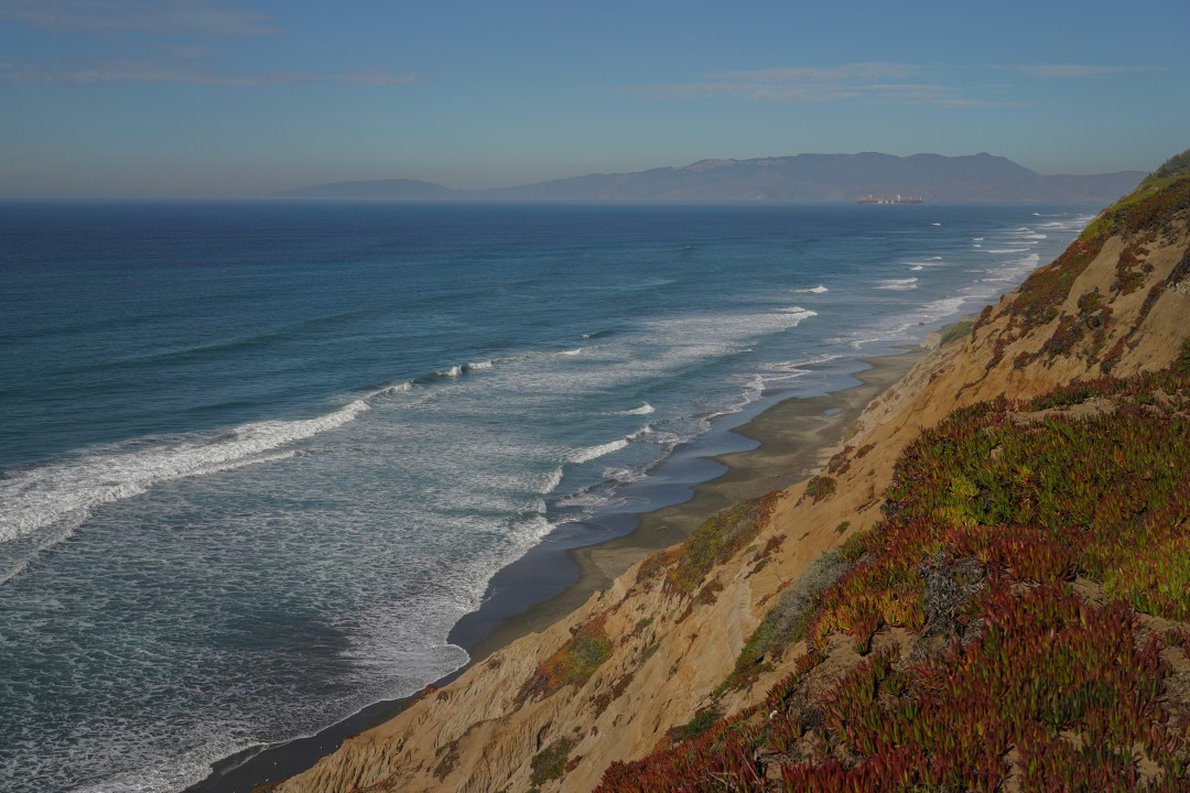 Sf state tsunami
