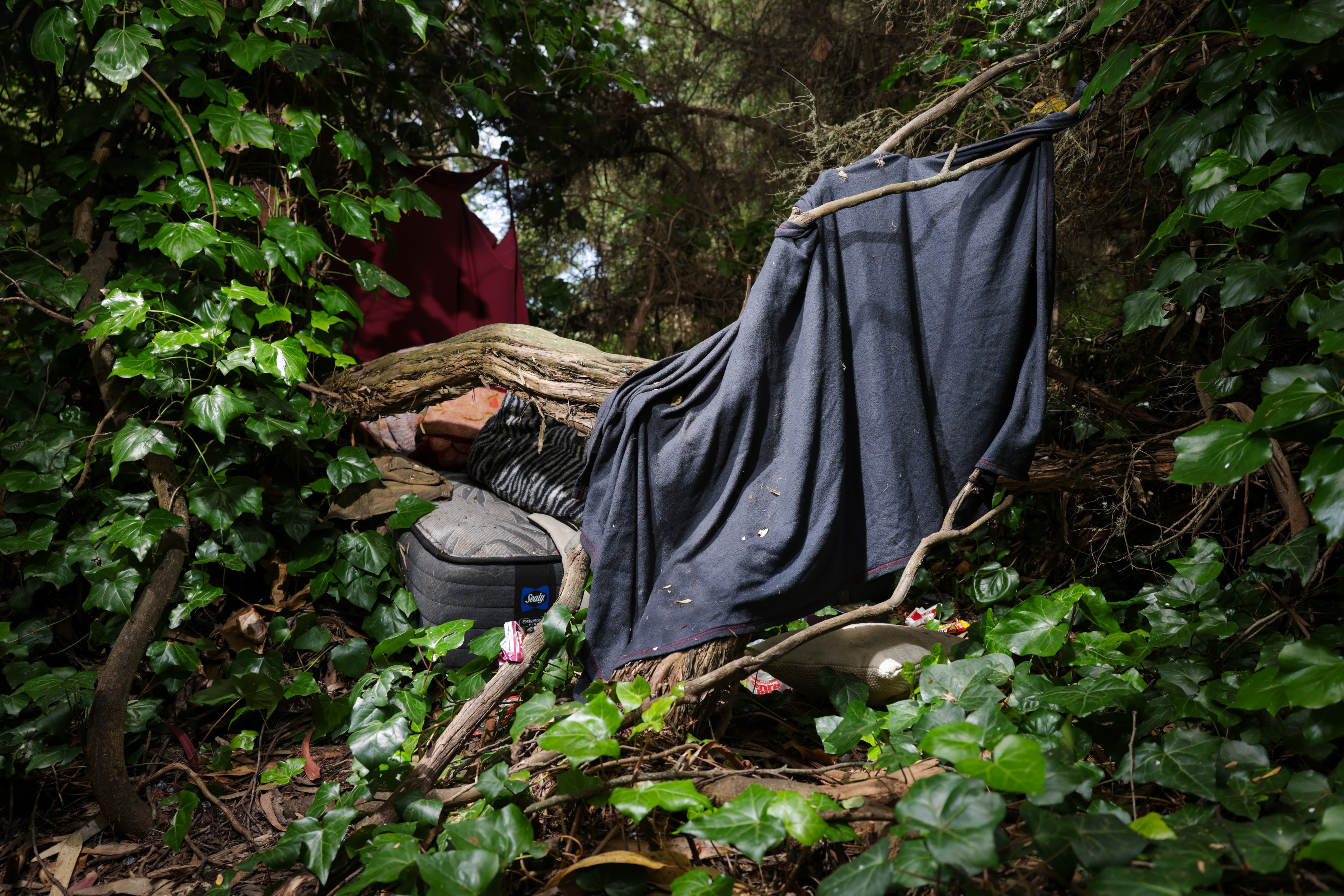 A makeshift shelter draped with a black cloth is tucked within lush, green foliage. A mattress and various fabric pieces are visible beneath the branches.