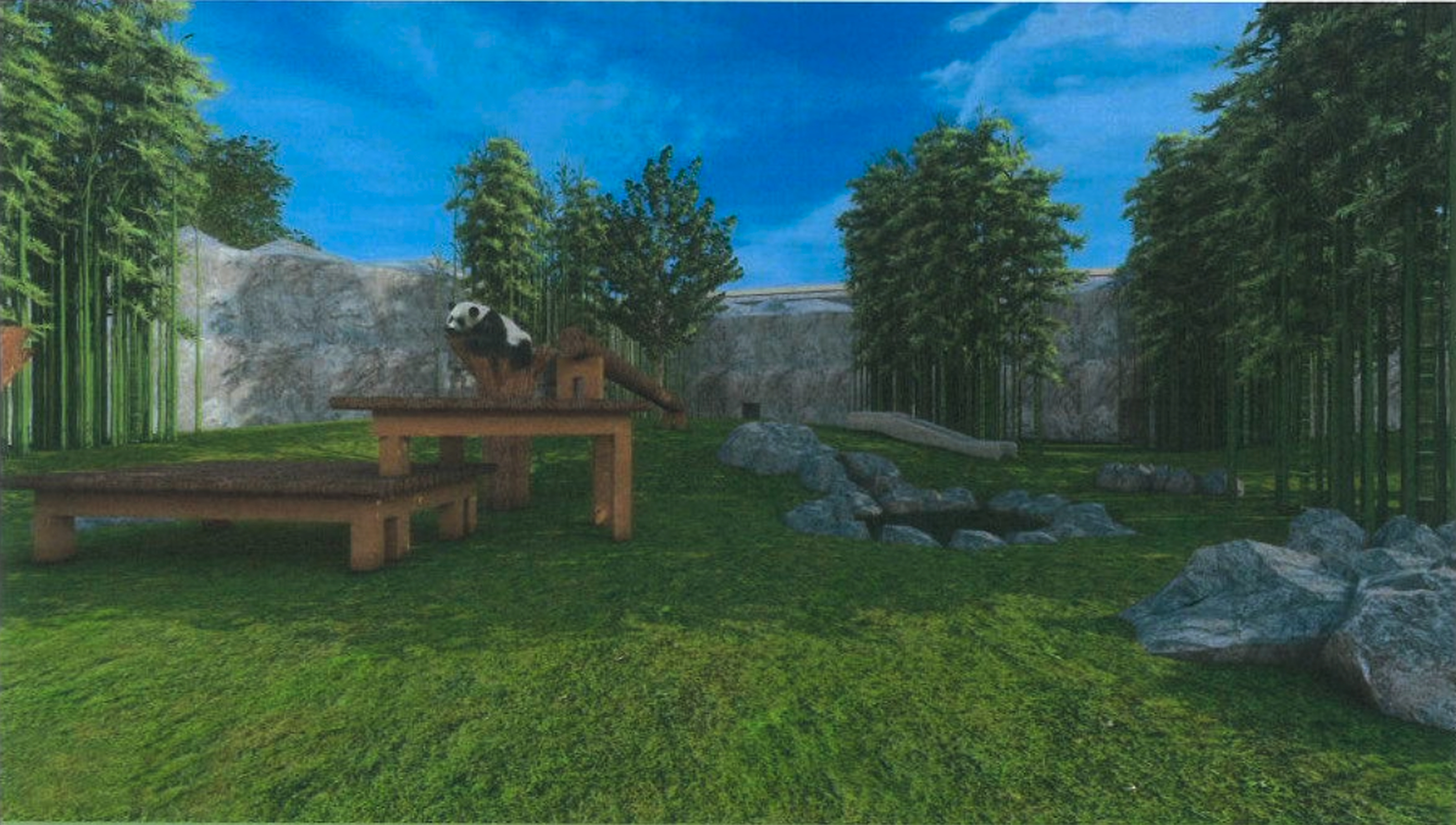 A lush green enclosure with bamboo and rocks features a panda on wooden platforms under a bright blue sky.