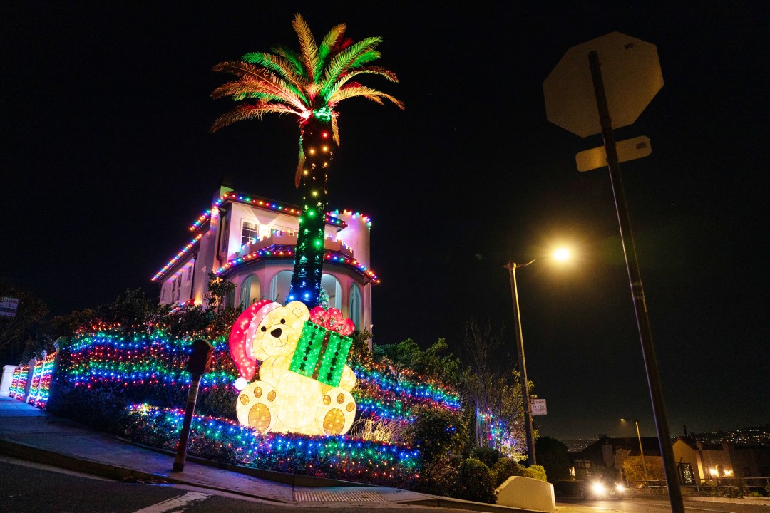 The Craziest Holiday Combination: August 12, 2025 – You Won'T Believe It! - 5d8zr6c