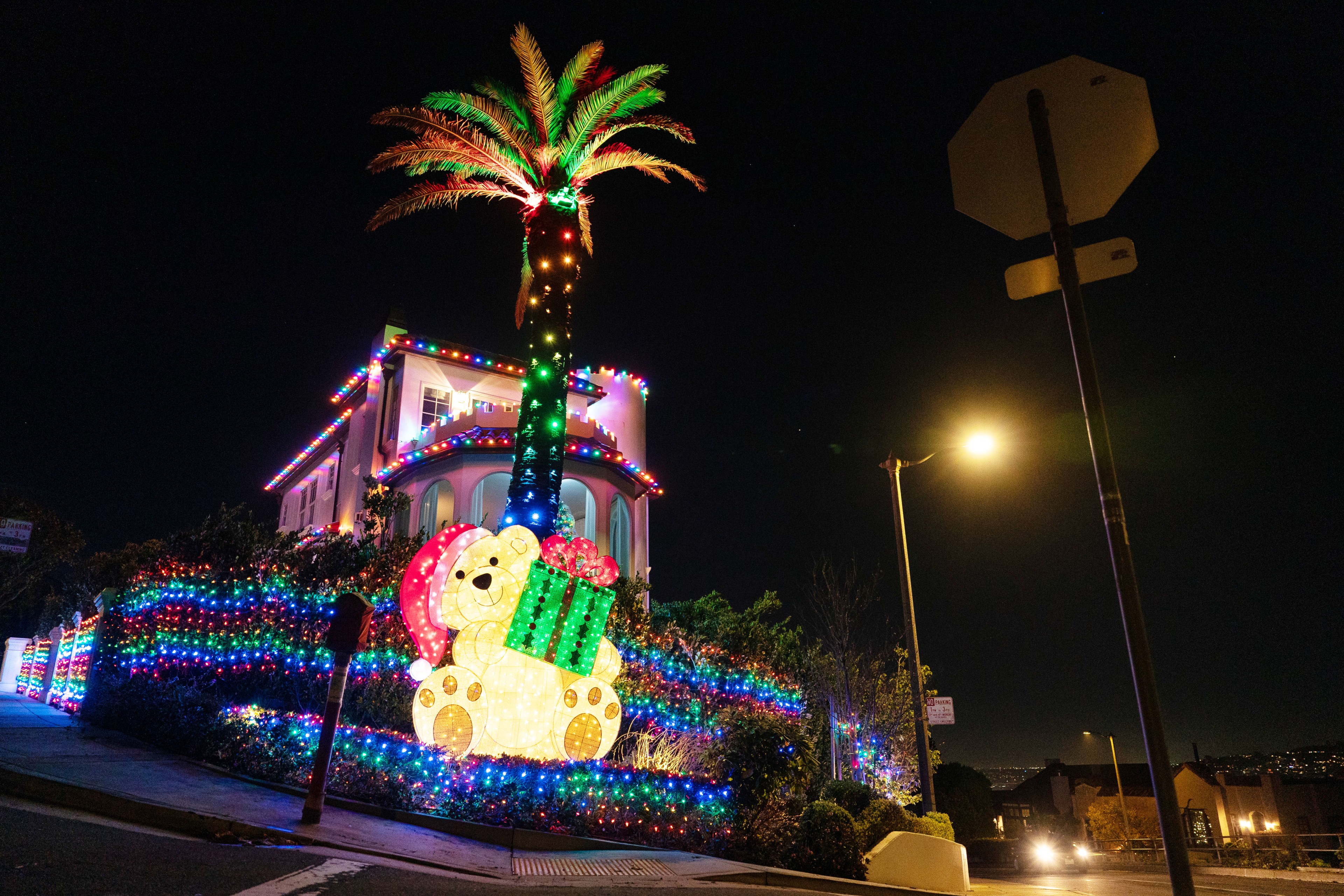 A house and palm tree are decorated with colorful Christmas lights, featuring a large illuminated teddy bear with a Santa hat and gift.