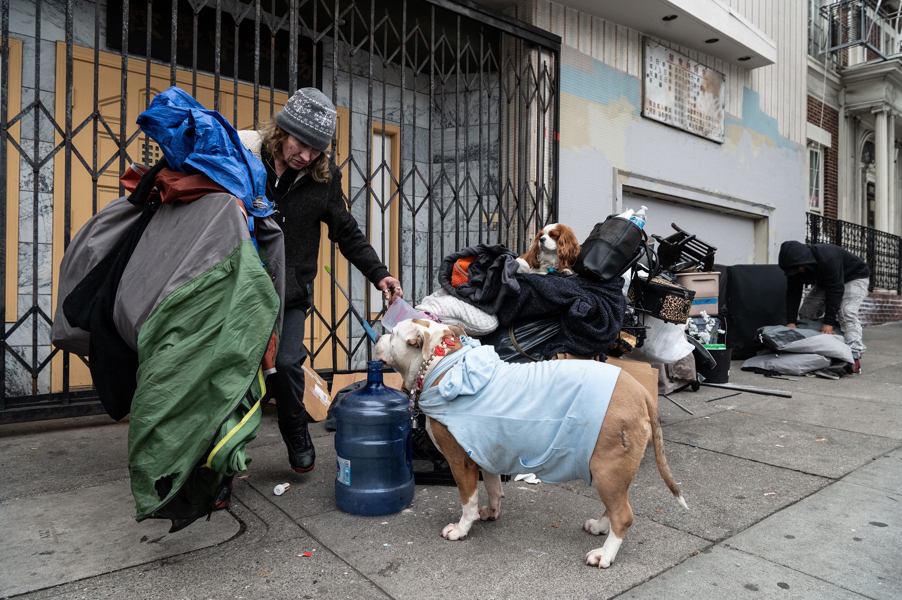 A person with a hat organizes belongings on the street with two dogs, one in a light blue jacket, beside a large water jug and various items.