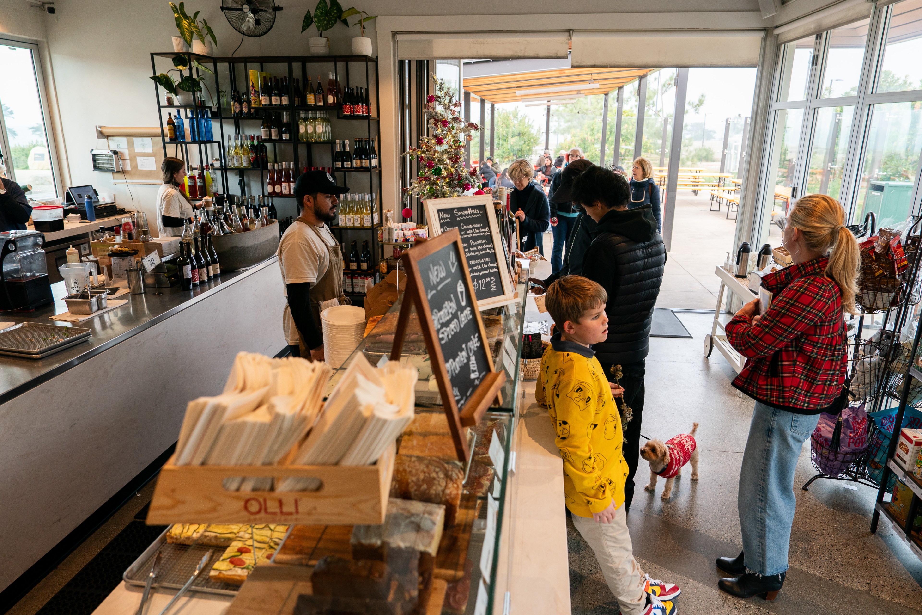 A bustling cafe with a barista behind the counter, a chalkboard menu, people in line, a child in a yellow shirt, and a small dog wearing a red sweater.