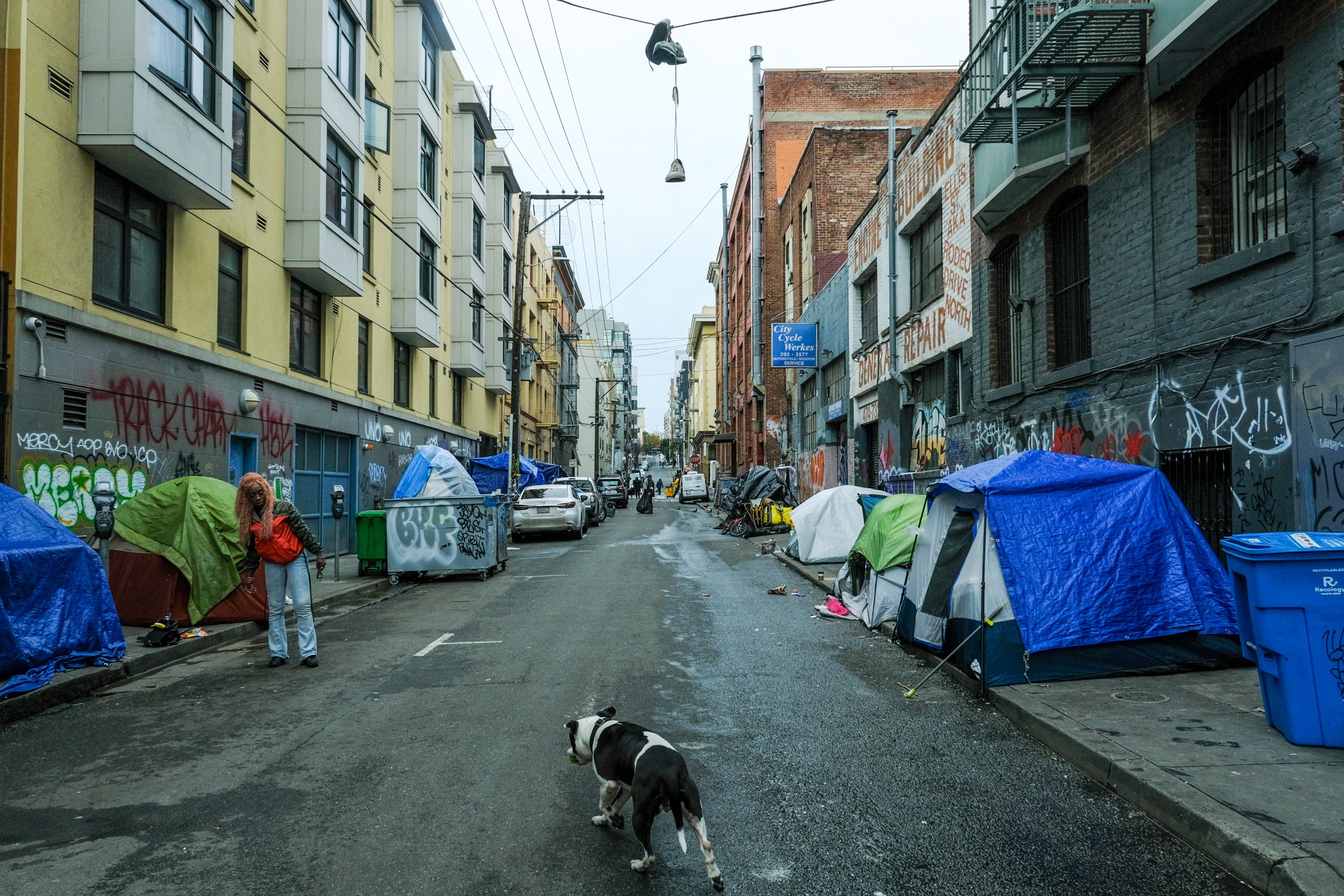 A narrow urban alley is lined with colorful tents and graffiti-covered buildings. A person and a dog walk among the parked cars and utility poles overhead.