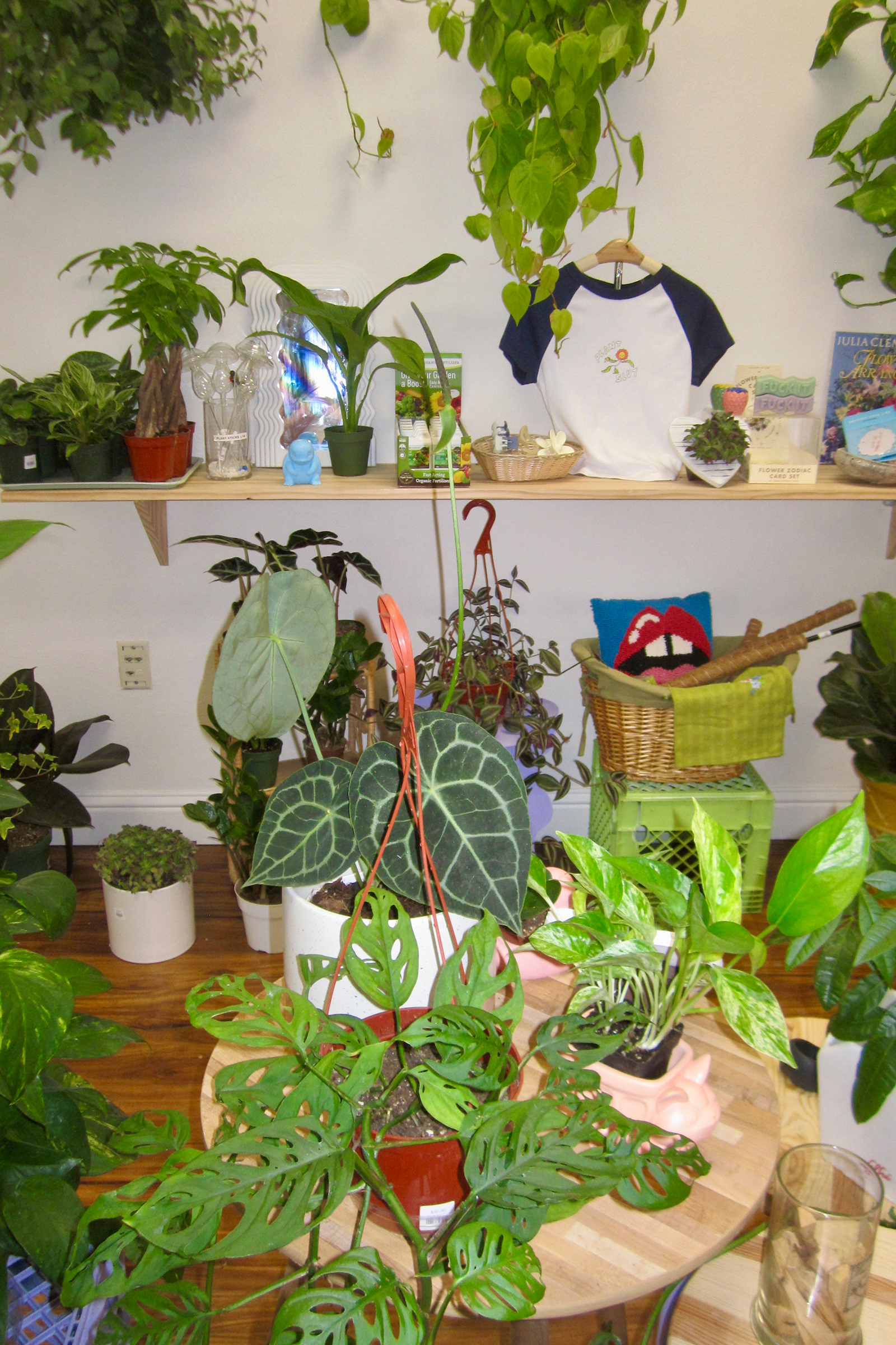 The image shows a variety of potted plants on shelves and a table, with a small basket containing stuffed items and a shirt hanging above. The scene is cozy and green.