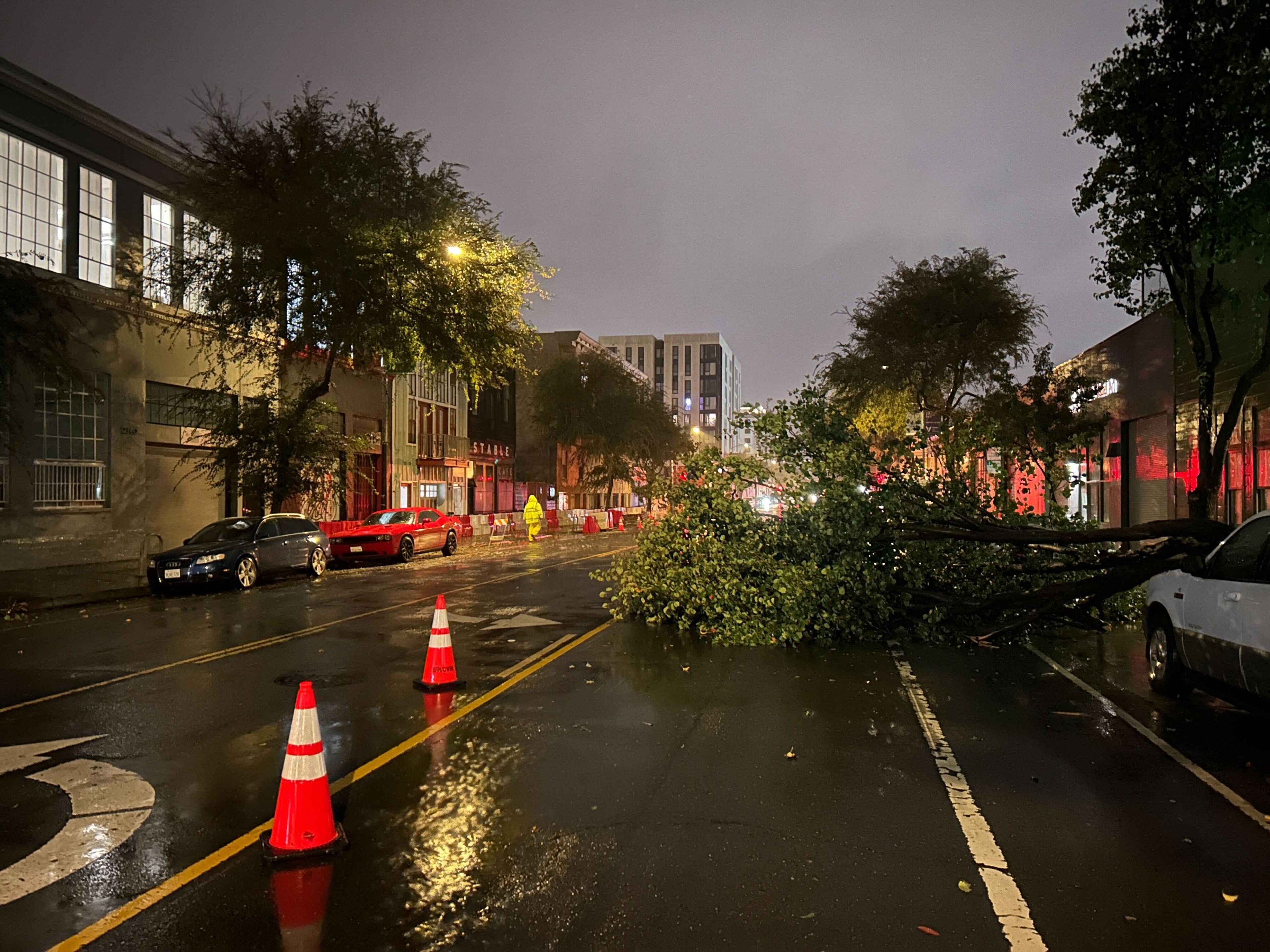 A nighttime scene shows a fallen tree blocking a wet street, surrounded by several traffic cones. Vehicles are parked on the sides, and buildings are dimly lit.