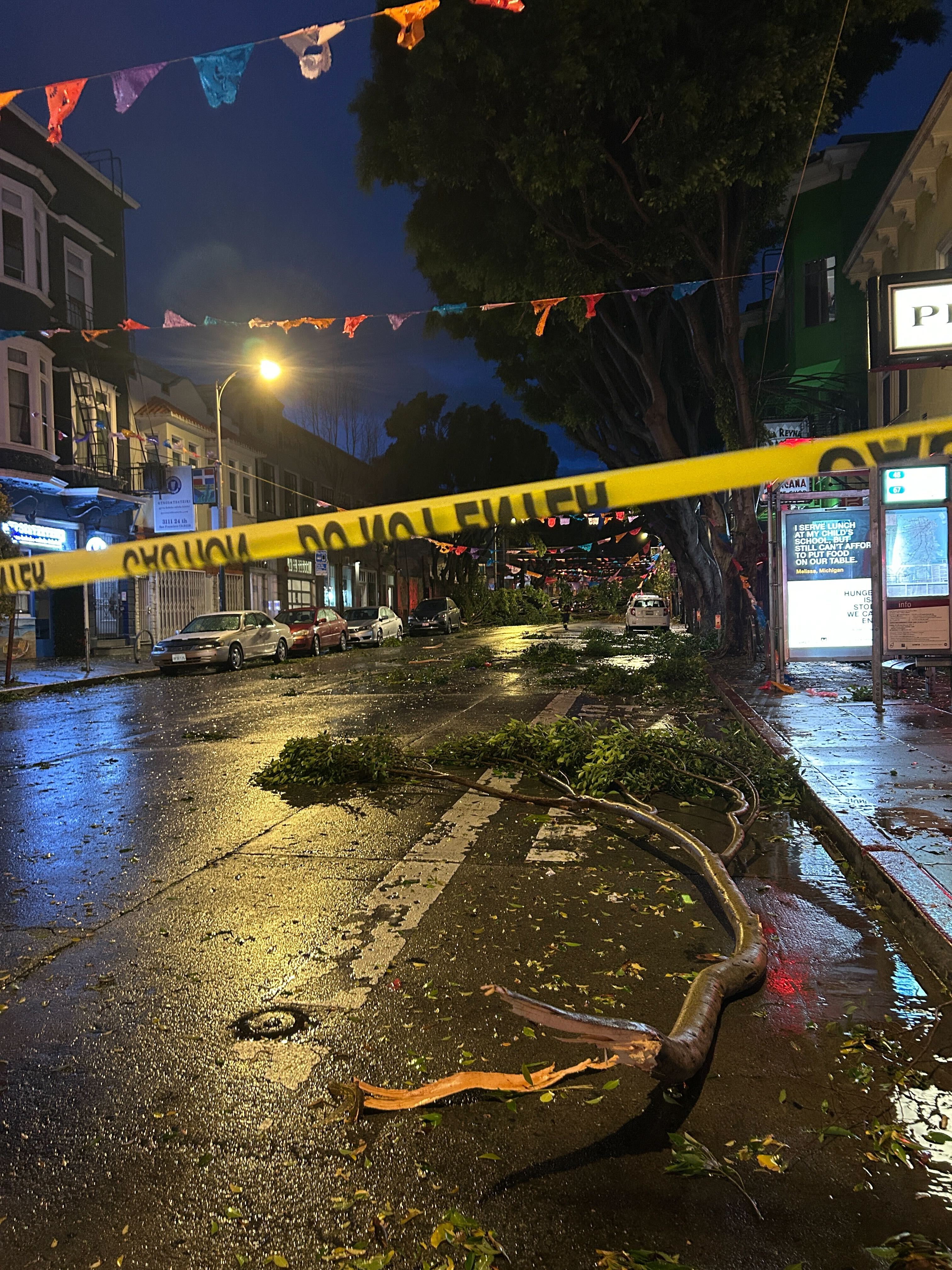 A dimly lit street at night shows a fallen tree blocking the road. Wet pavement reflects light, caution tape is strung across, and colorful flags hang overhead.