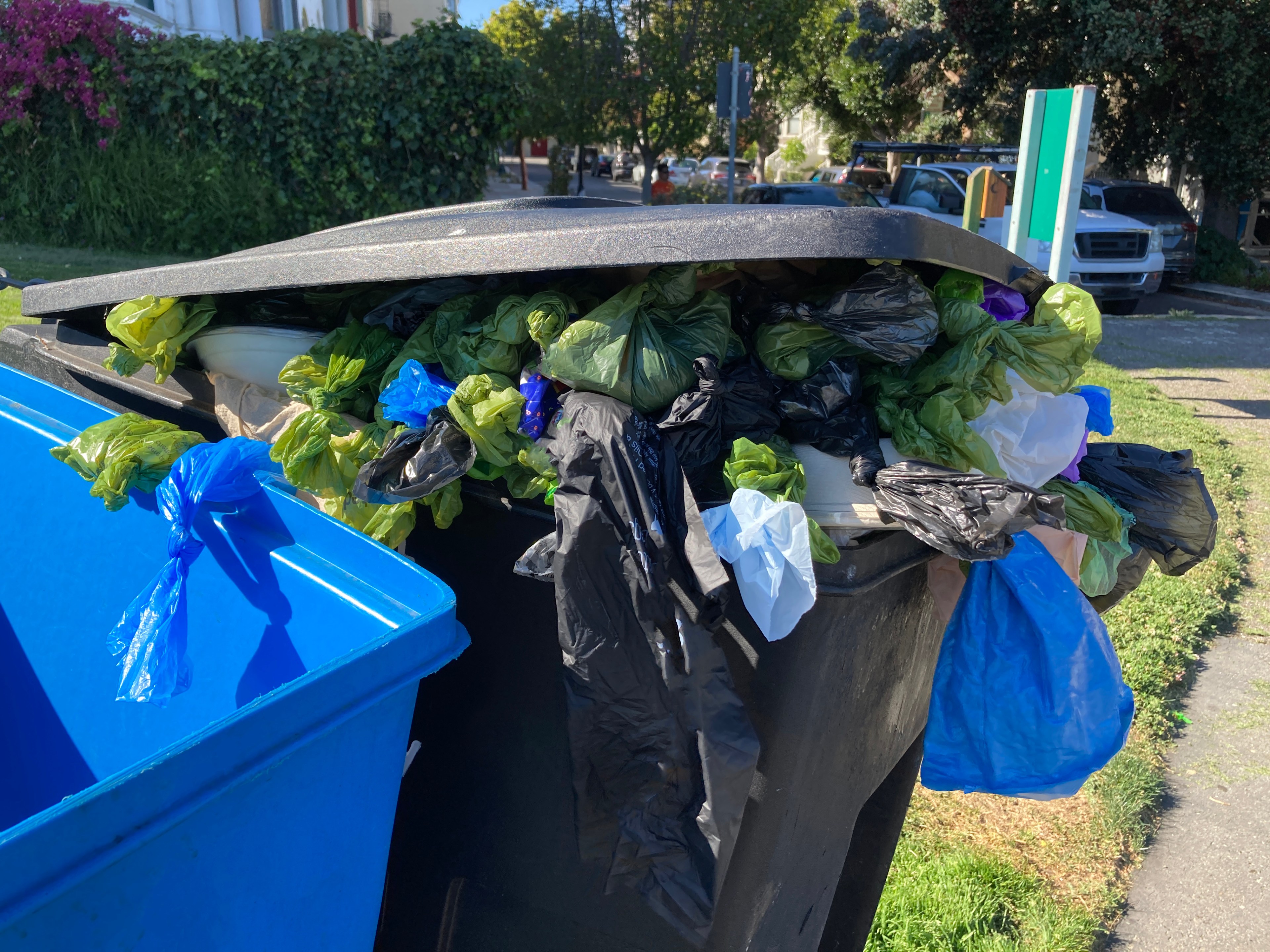 An overflowing trash bin with many plastic bags in various colors poking out from under the half-closed lid. A blue recycling bin is nearby, and green grass is visible.