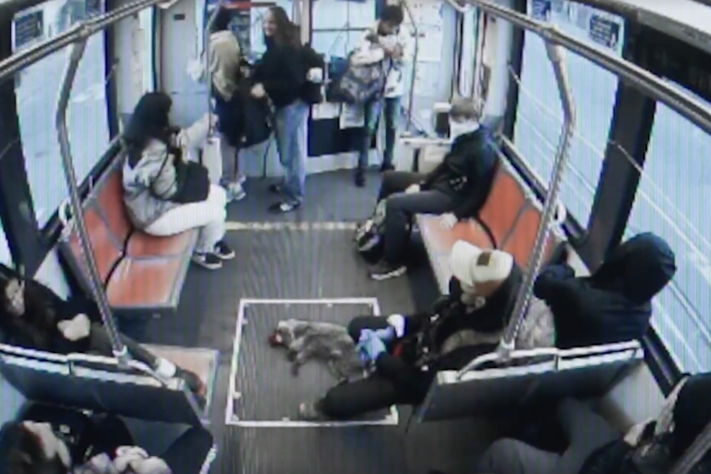 A subway car with eight passengers seated and standing. A person sits on the floor petting a dog lying in a marked area. The scene is calm and casual.